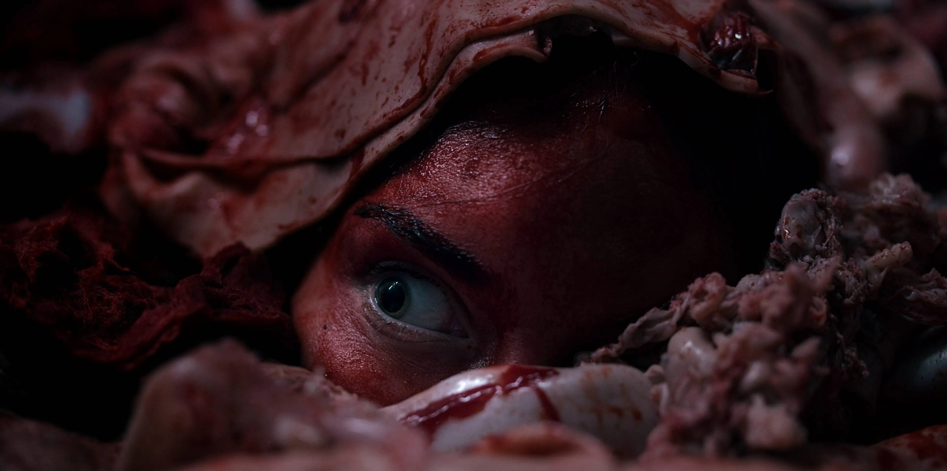 Nieuwe, extreem gewelddadige Nederlandse horrorfilm 'Vleesdag' binnenkort te streamen