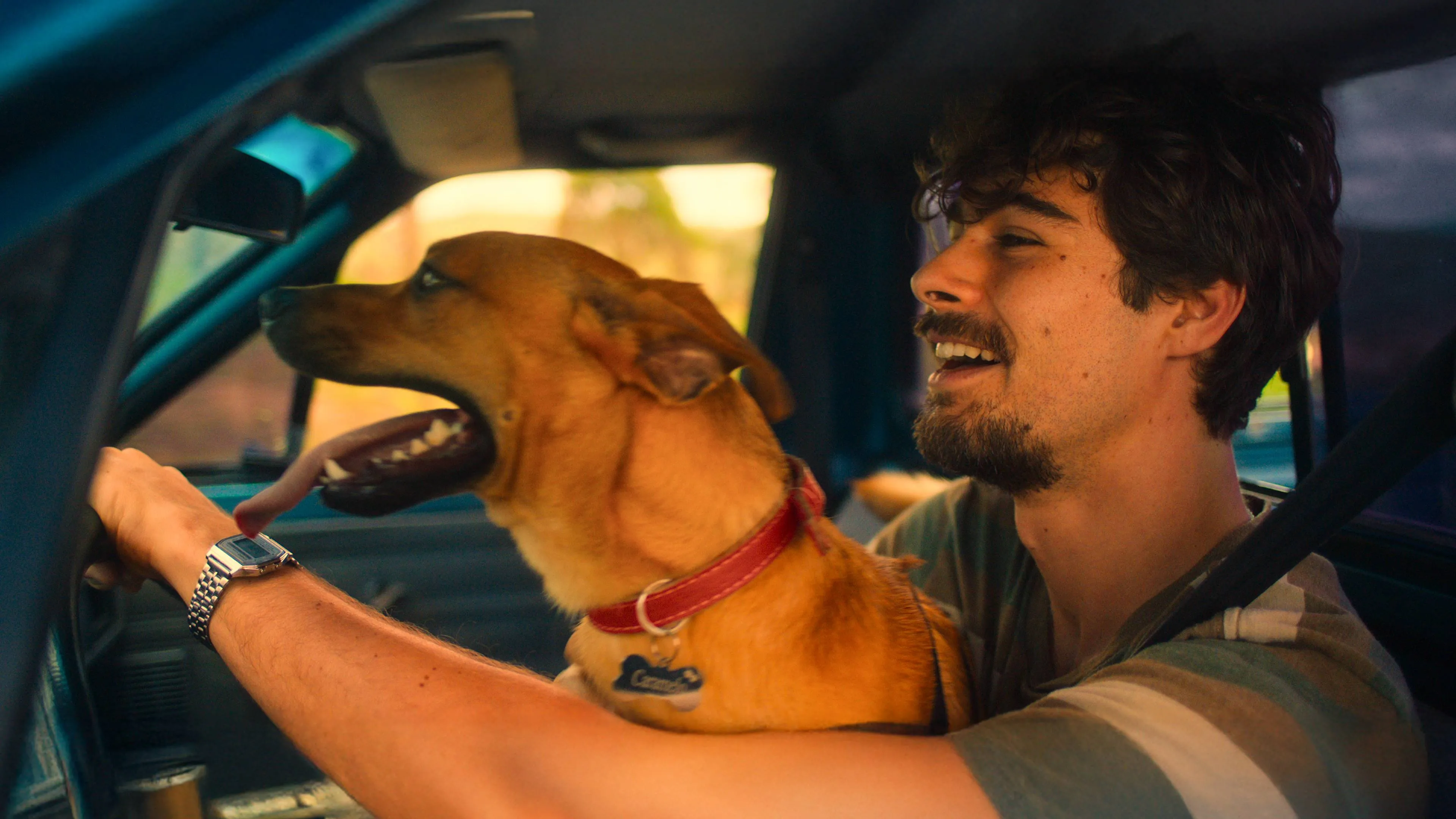 Nieuwe hondenfilm laat Netflix-kijkers met een brok in de keel achter: "een emotionele reis!"