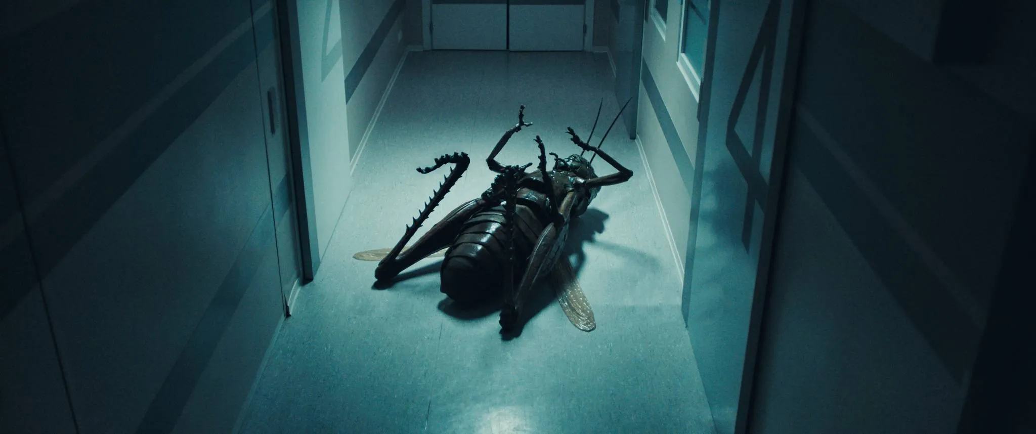 Absurde sciencefictionfilm 'The Kiss of the Grasshopper' vanaf deze week te zien