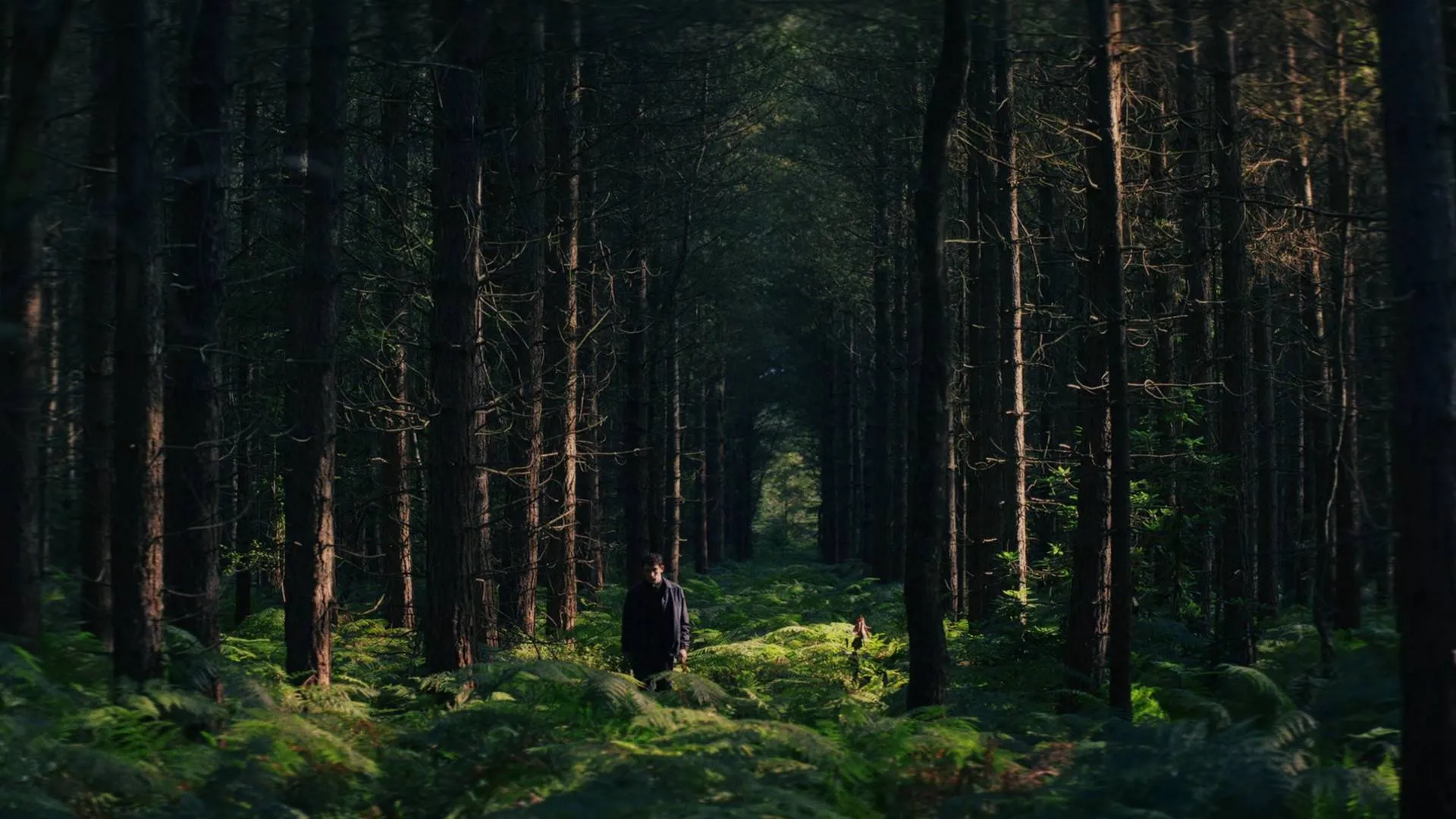 Netflix-kijkers zijn vol lof over nieuwe misdaadfilm: "een bevredigende whodunit!"