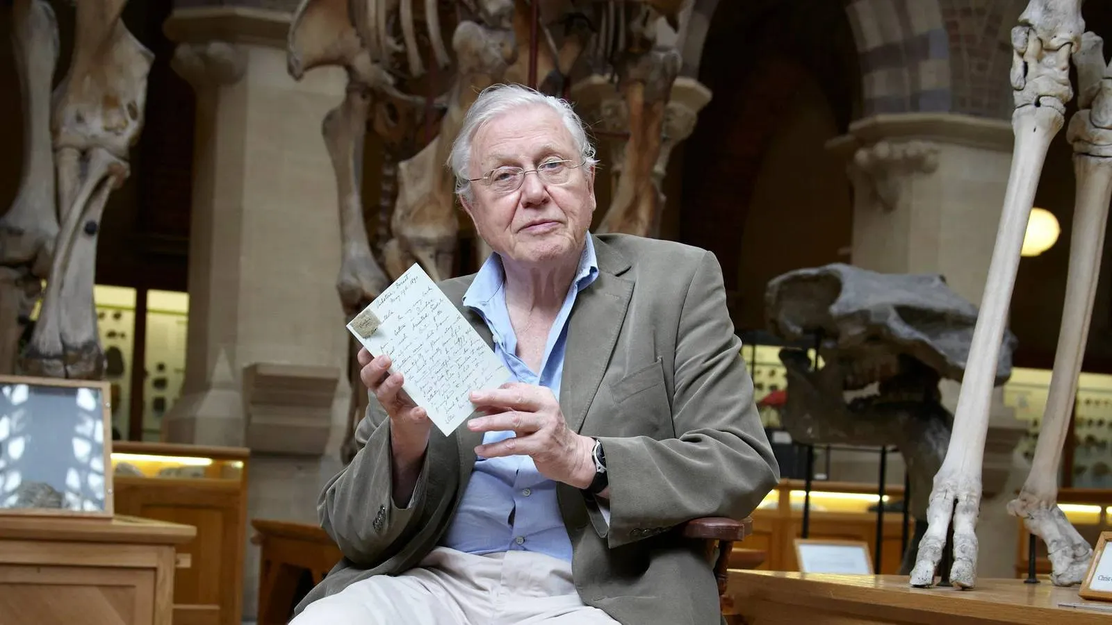 David Attenborough komt naar Netflix met nieuwe documentaire 'A Gorilla Story'