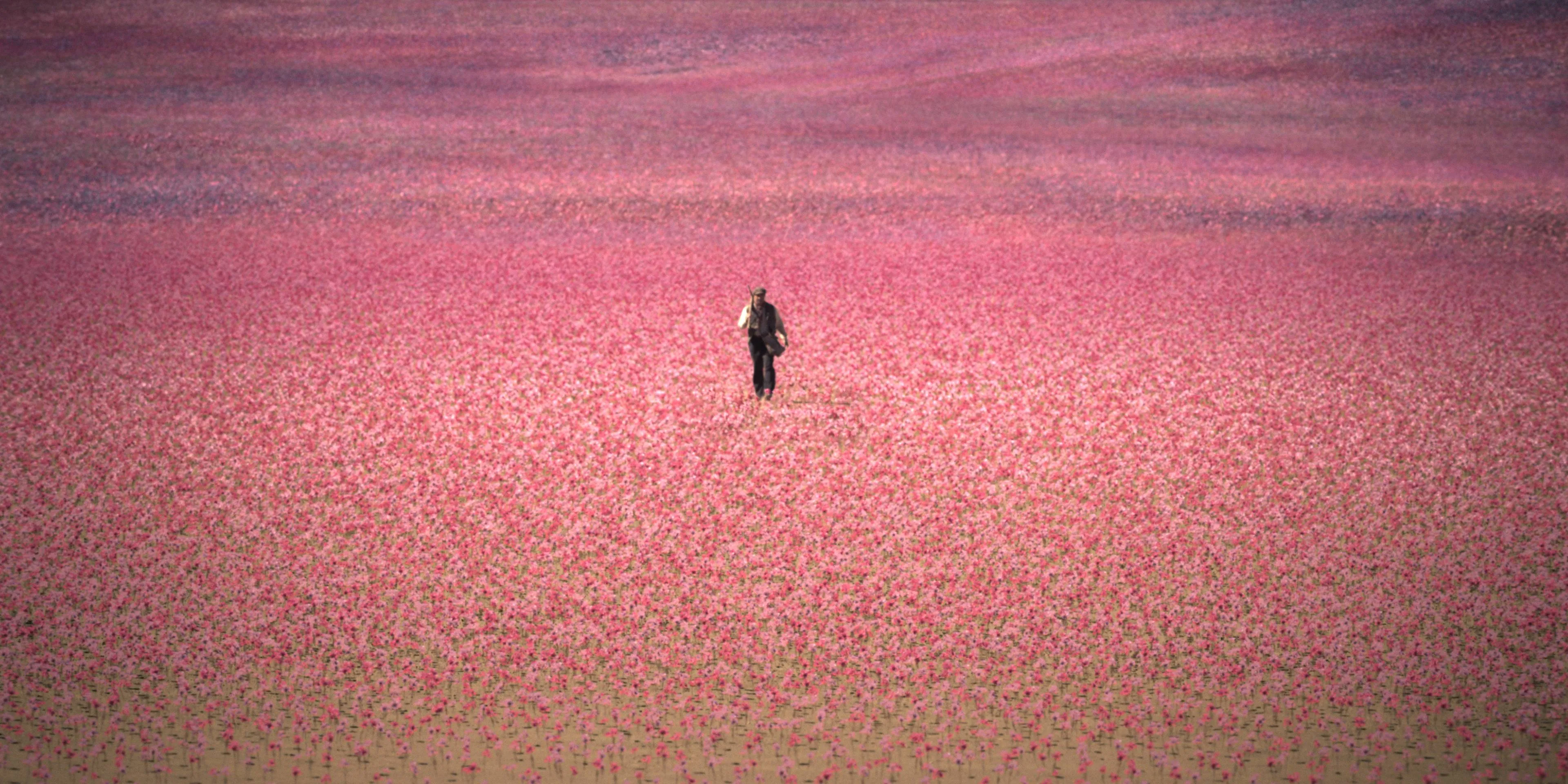 Historische Prime Video-serie 'The House of the Spirits' vanaf april te zien