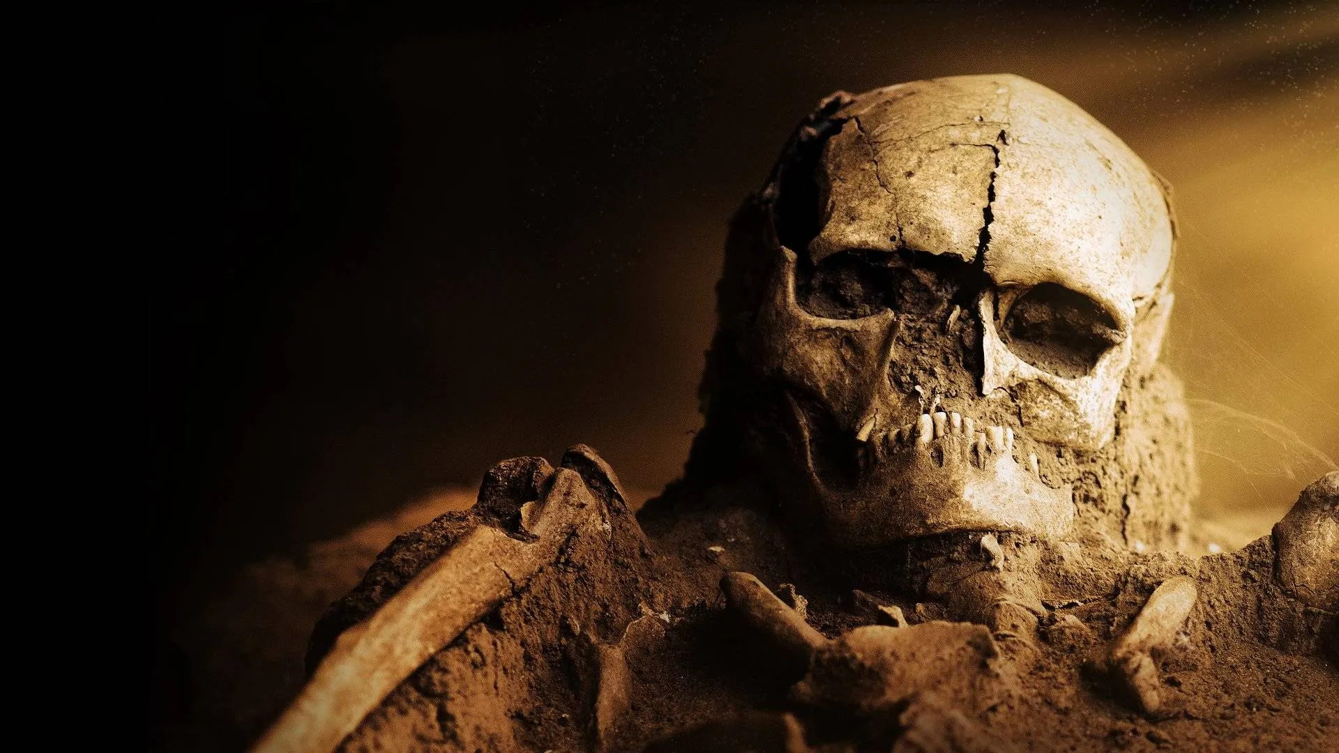 19c24b8b-ecaa-398c-b059-63ebb9dc9a1e