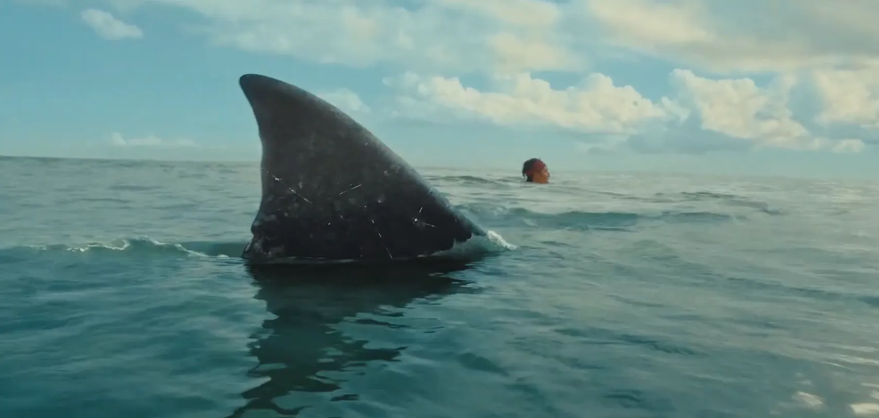 Nieuwe haaienfilm verandert droomvakantie in een bloederige nachtmerrie