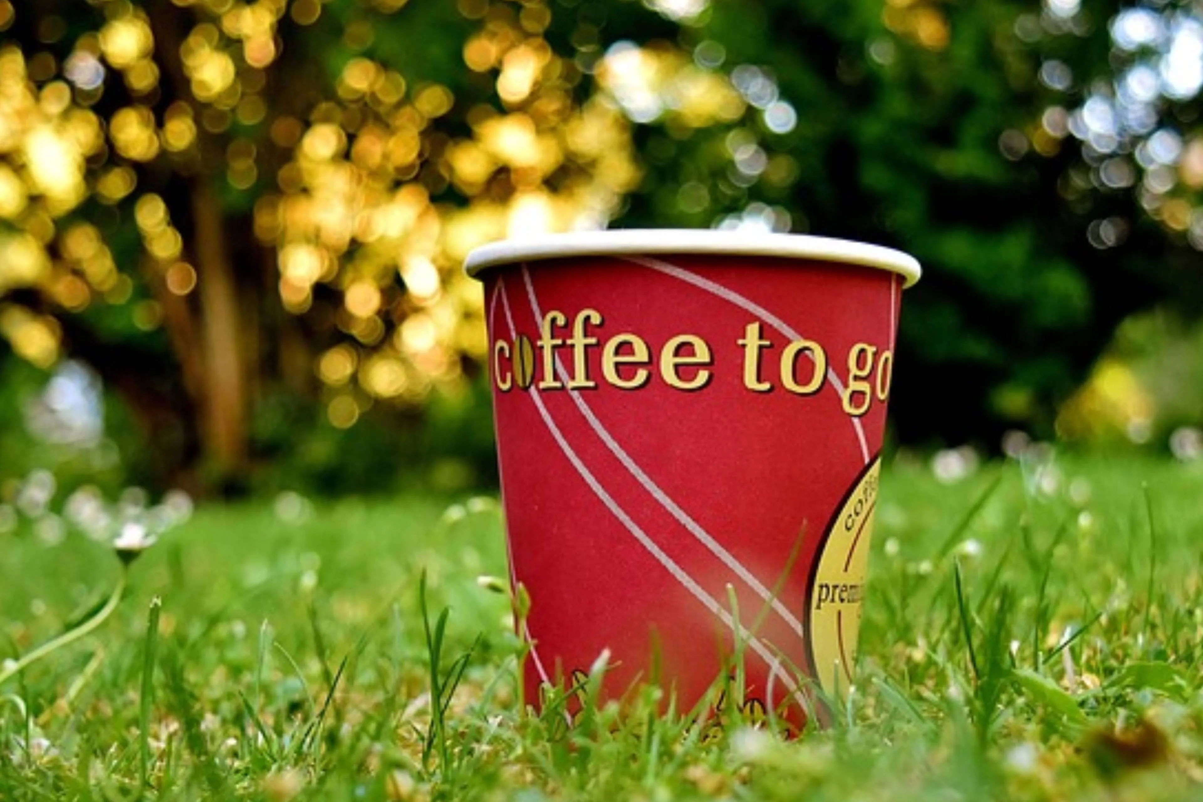 Waar langs de snelweg vind je de lekkerste koffie?