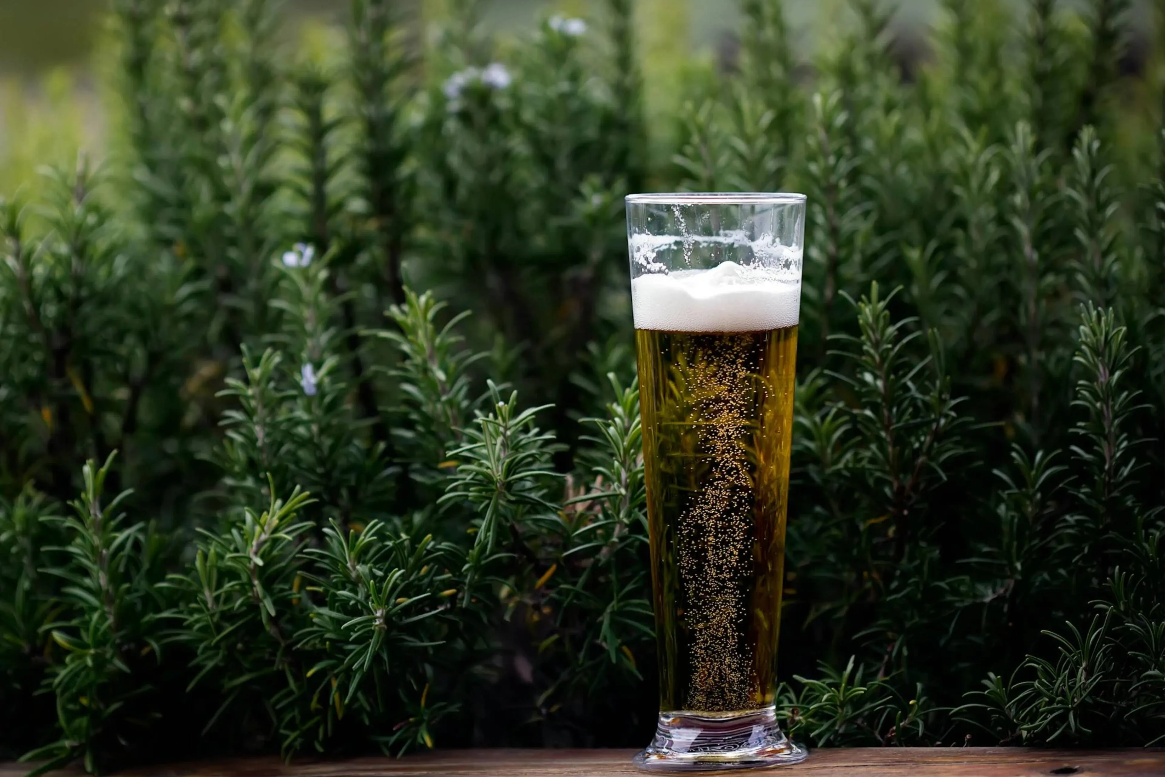bierjpg