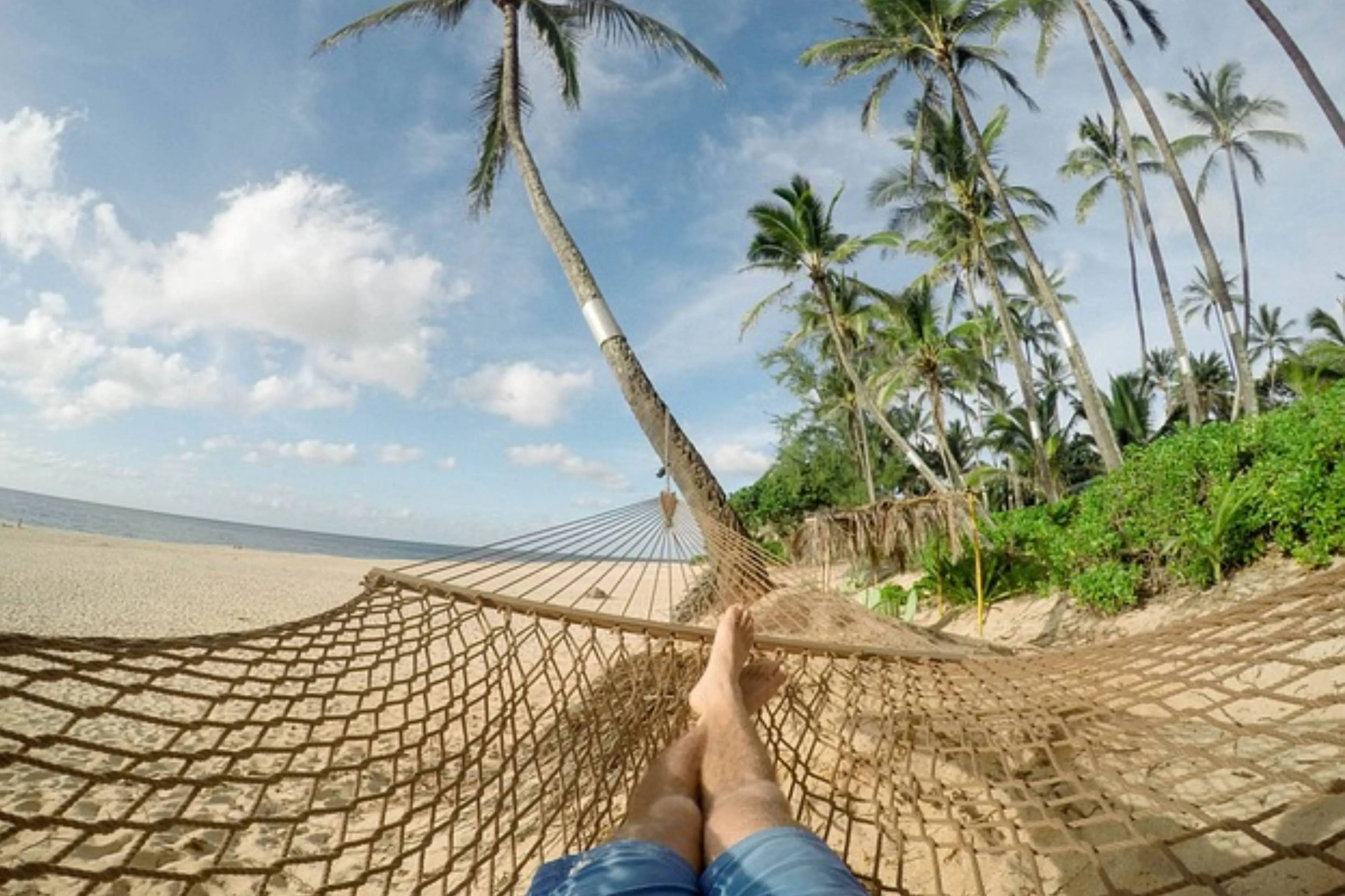 tropical holiday