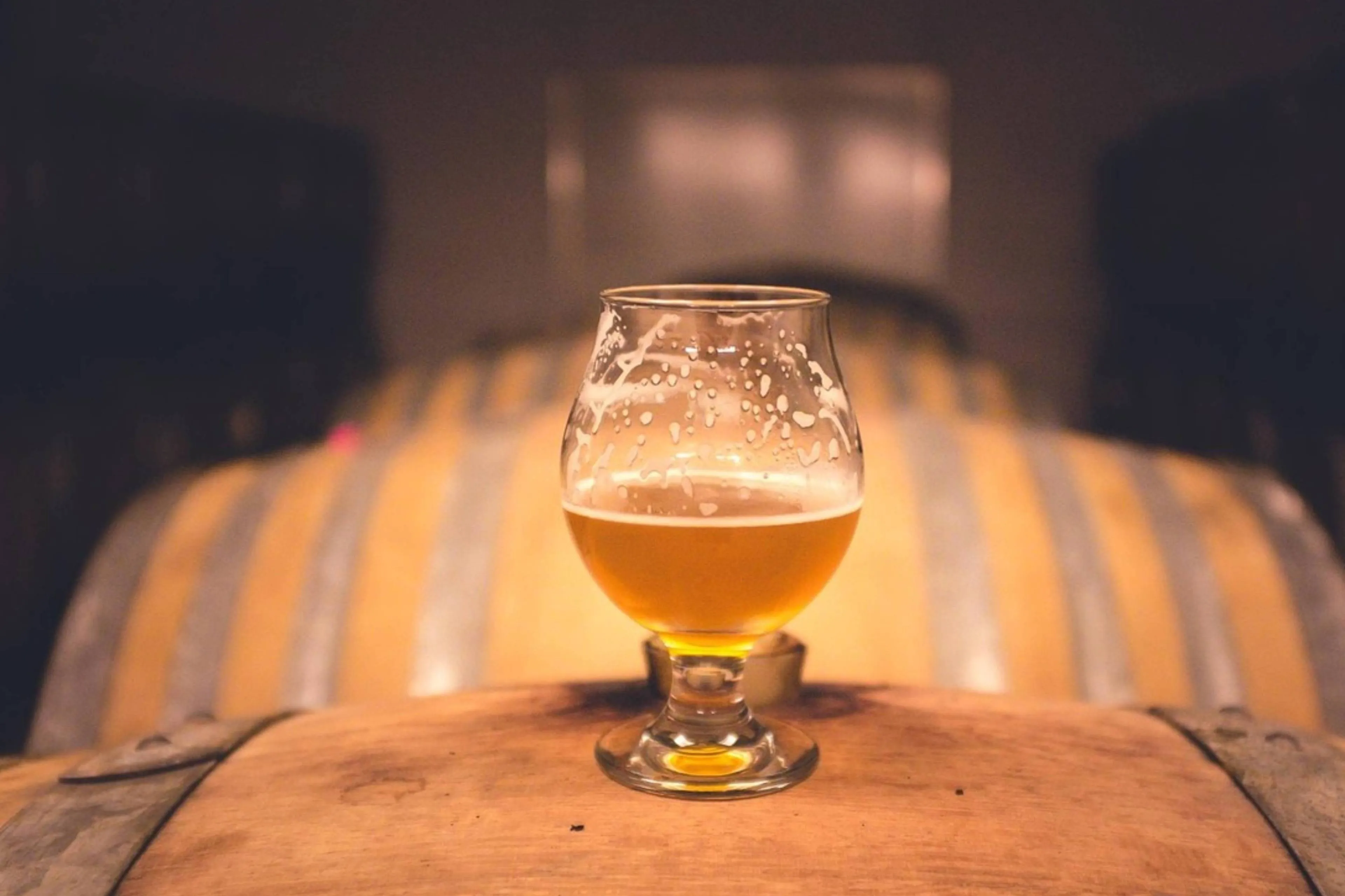 Wist je dat er al ruim voor Christus bier gemaakt werd?