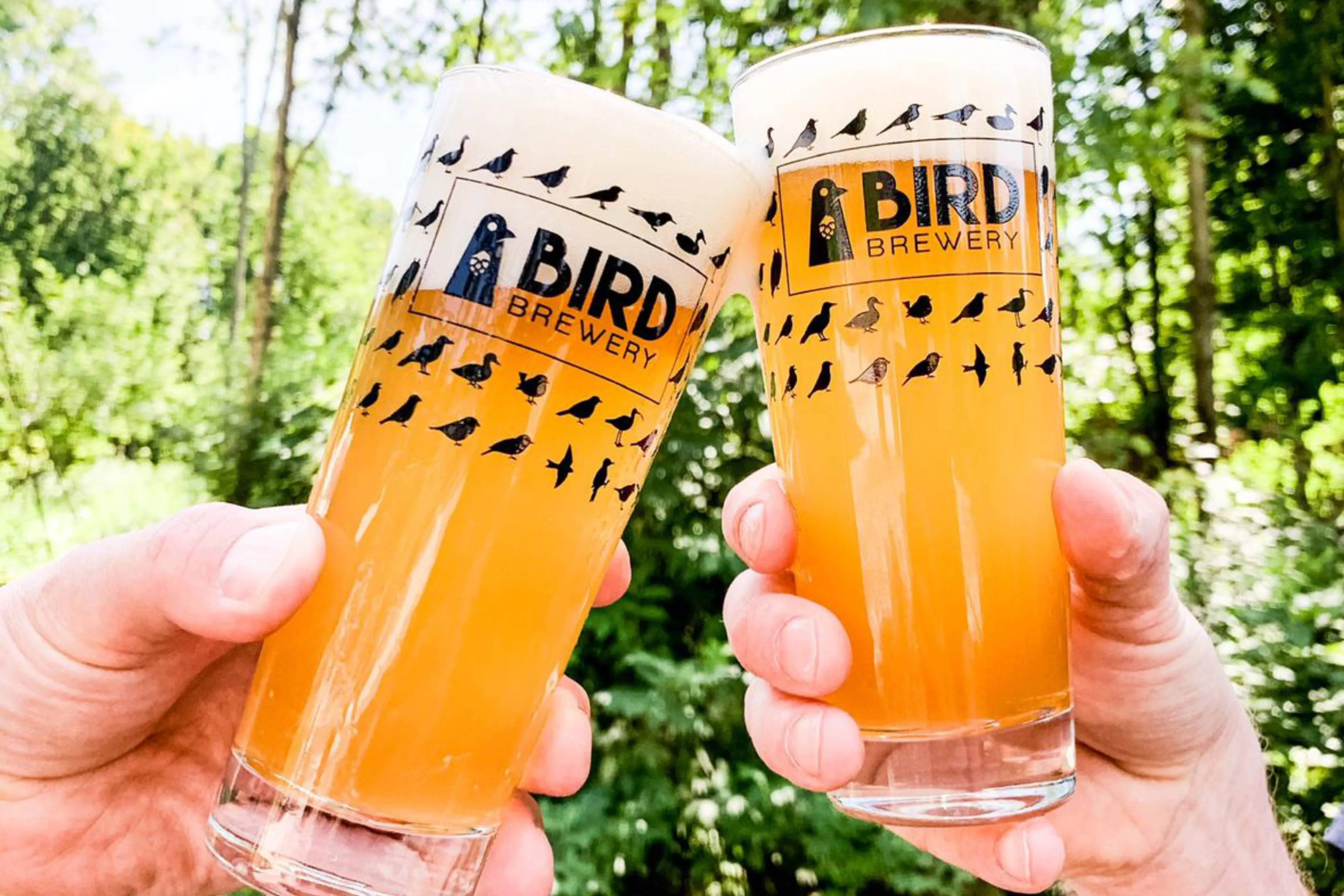 Bird Brewery stelt met bier enorme natuurgebieden veilig en jij kunt helpen