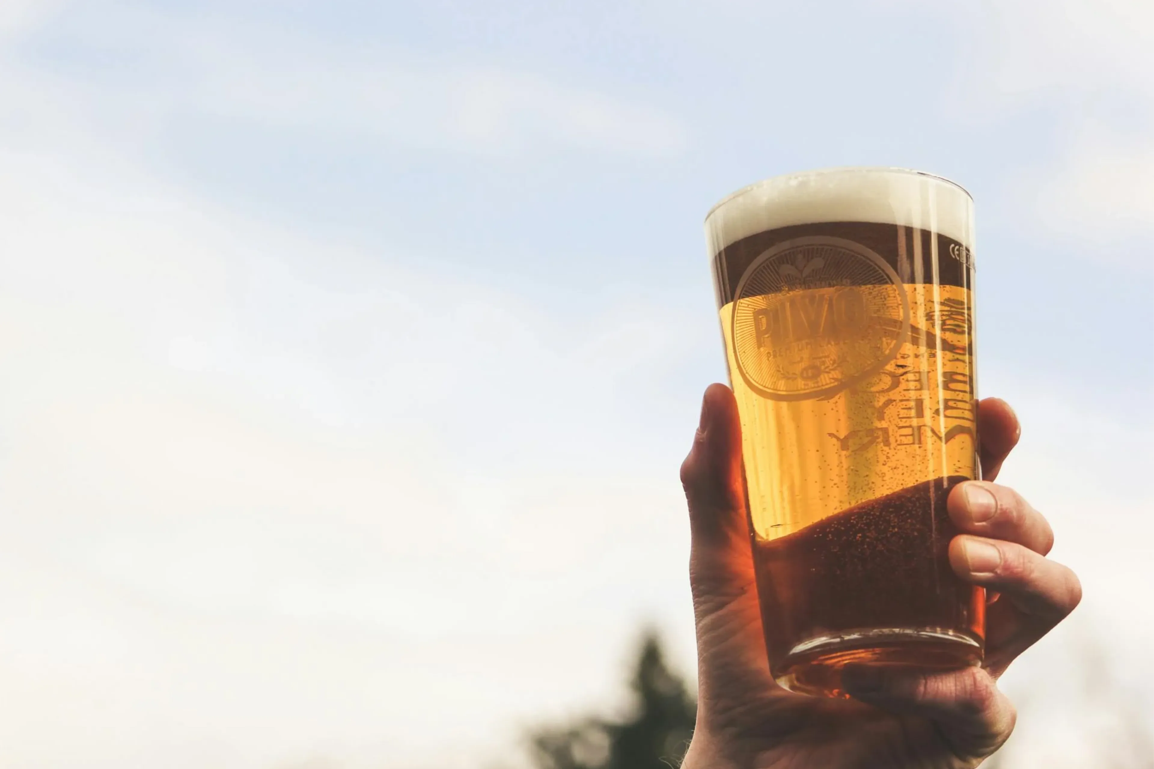 bier enschede