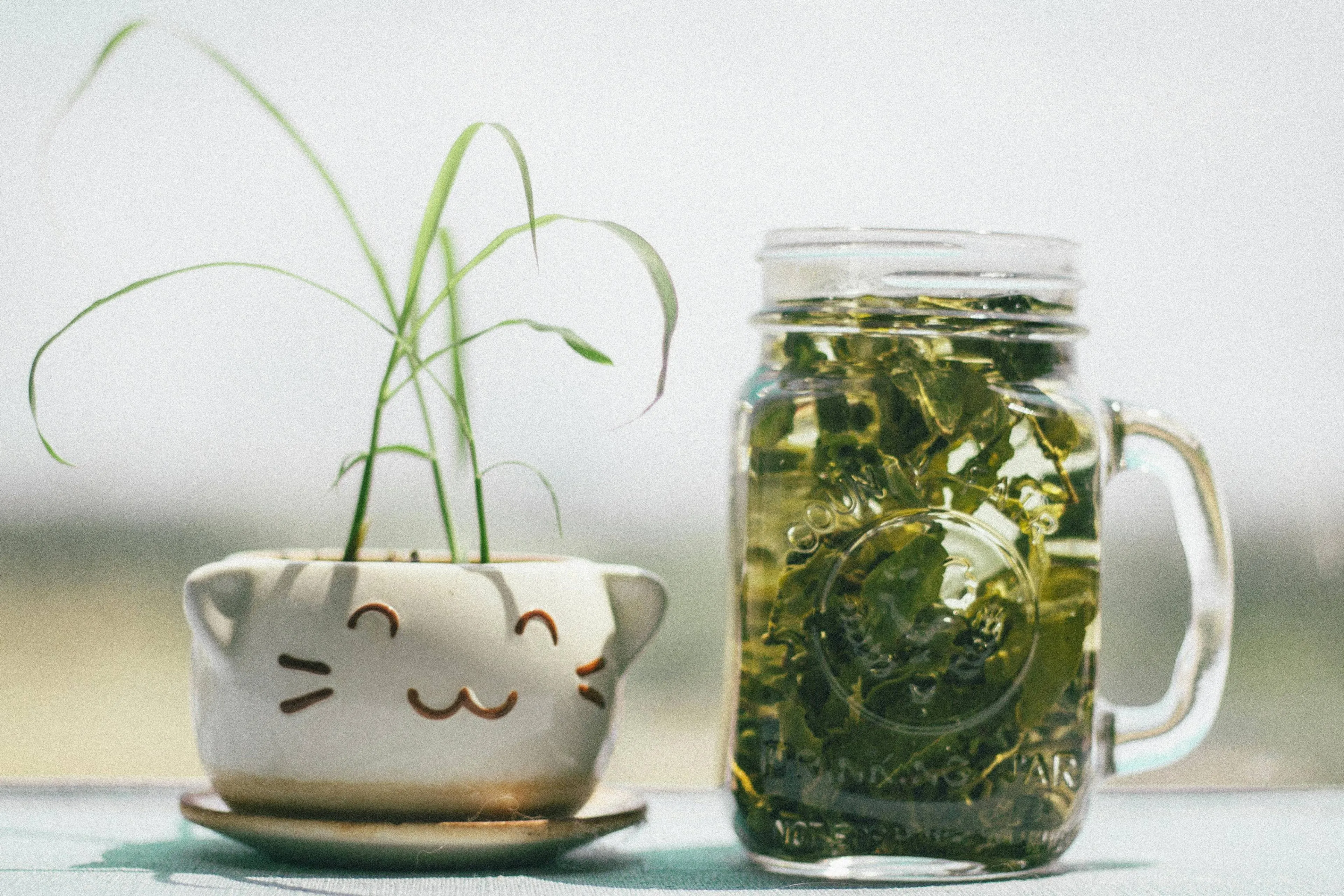 Waarom moet je oppassen met het drinken van groene thee