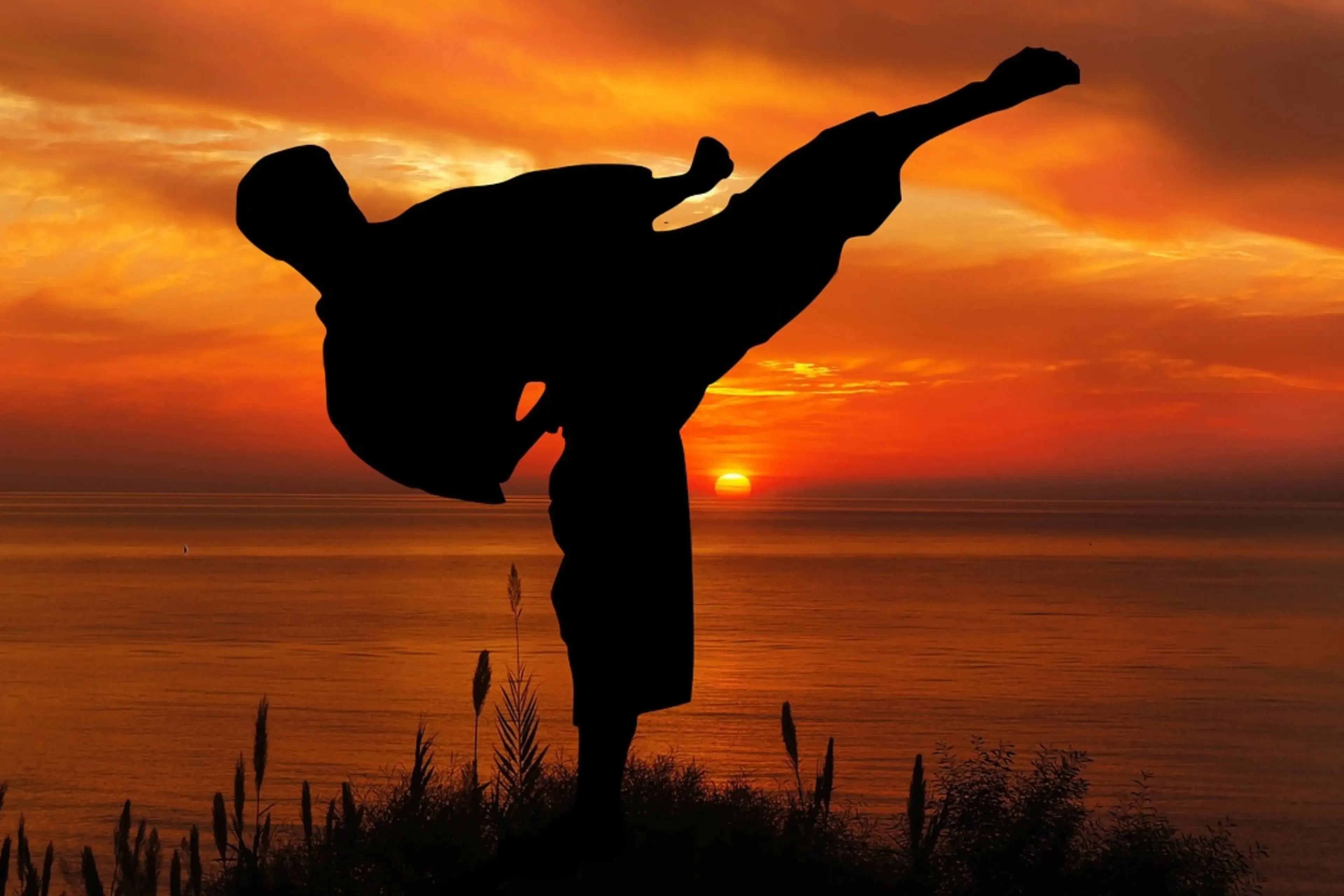 karate pixabayjpg