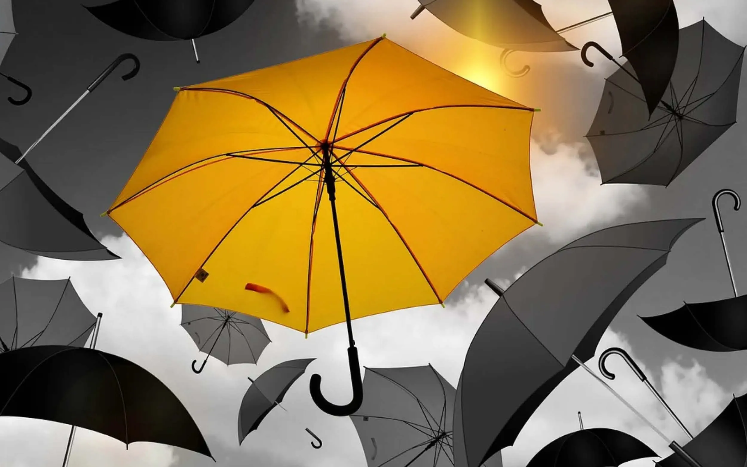 paraplu geel regen