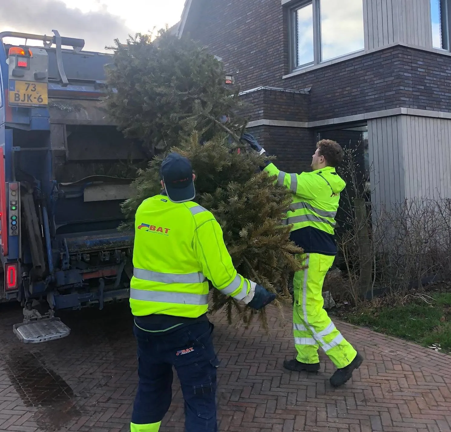 kerstbomen_bij