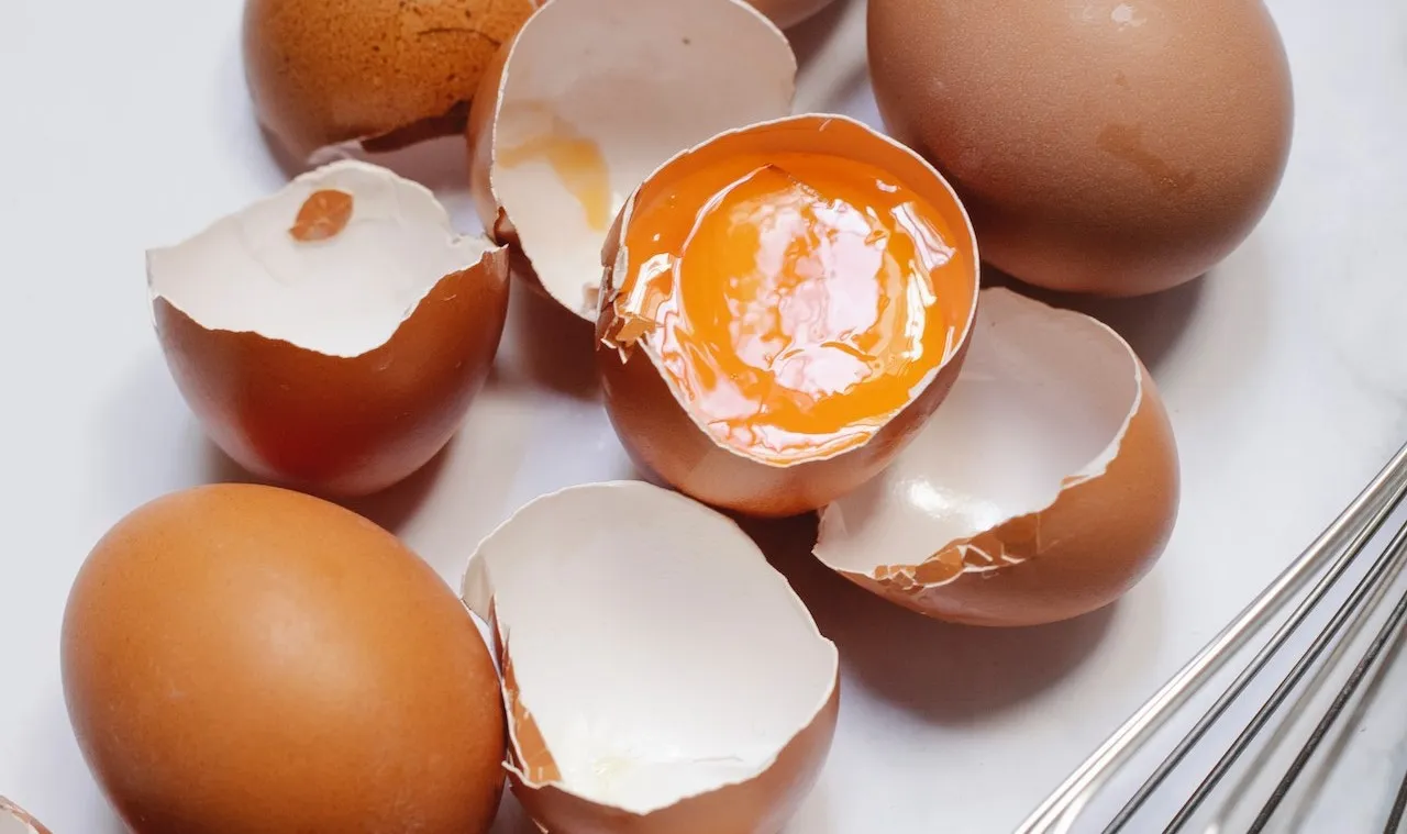 Stop met weggooien! Met deze tip zijn eierschalen nog zeer nuttig in huis