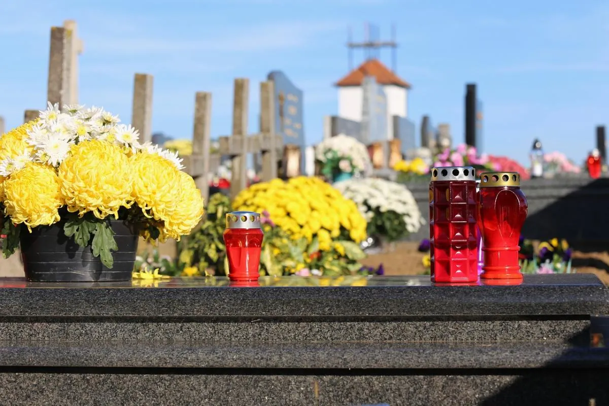 Eyecatchers van dit seizoen: Met deze 3 tips blijven chrysanten langer mooi