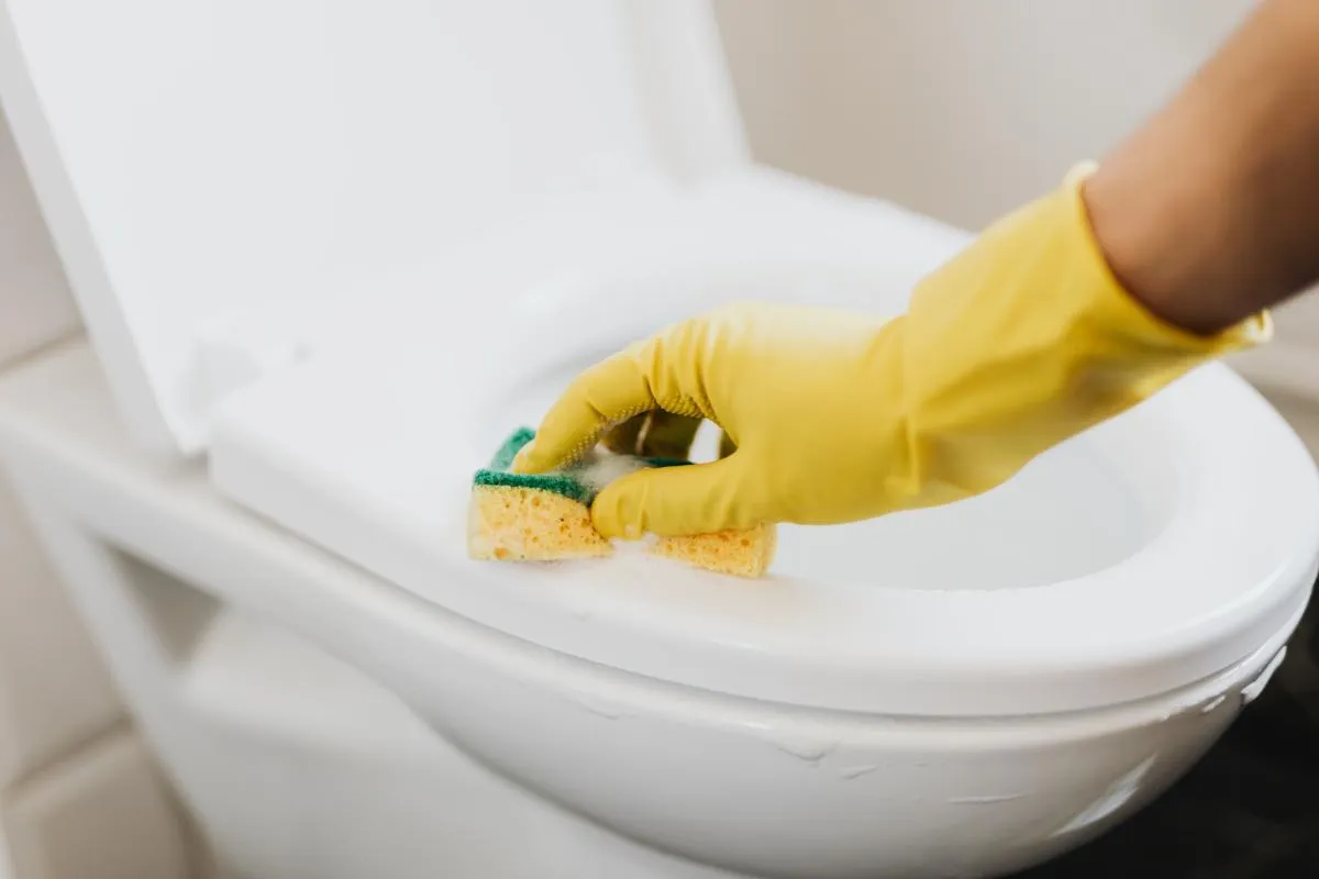 Waar bevinden zich de meeste bacteriën zich in je toilet? Tips om je toilet nog beter hygienisch schoon te maken