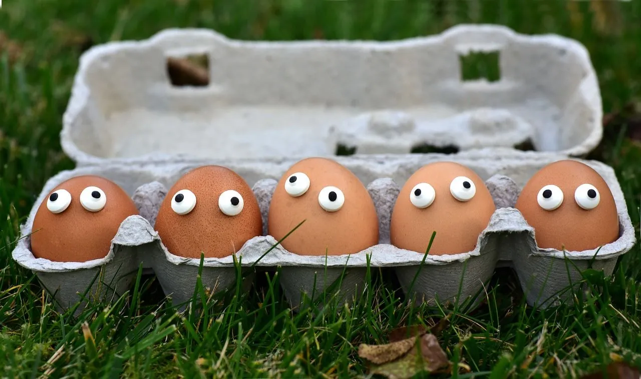 eierdoos eieren decoratie creatief pasen