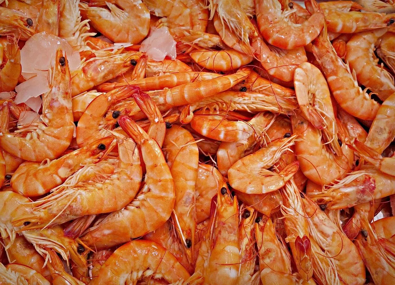Wat veel mensen niet weten is dat garnalen, scampi's en langoustines een bron zijn van dit belangrijk mineraal