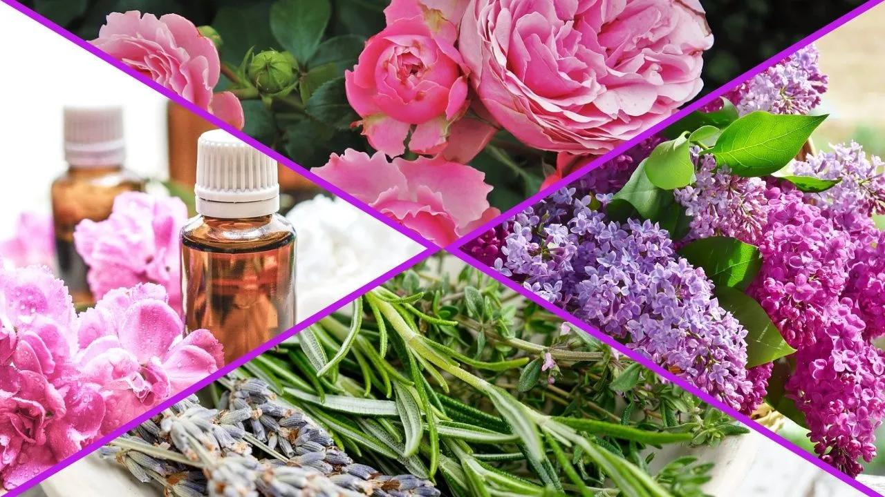 Het geheim onthuld: Laat je huis heerlijk geuren op deze eenvoudige en natuurlijke manier