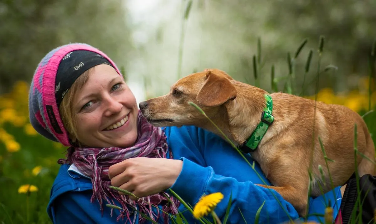 Experten leggen uit, honden ruiken dat je bang bent: Feit of fabel?