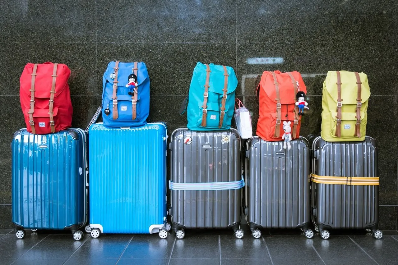 bagage koffers reizen handbagage