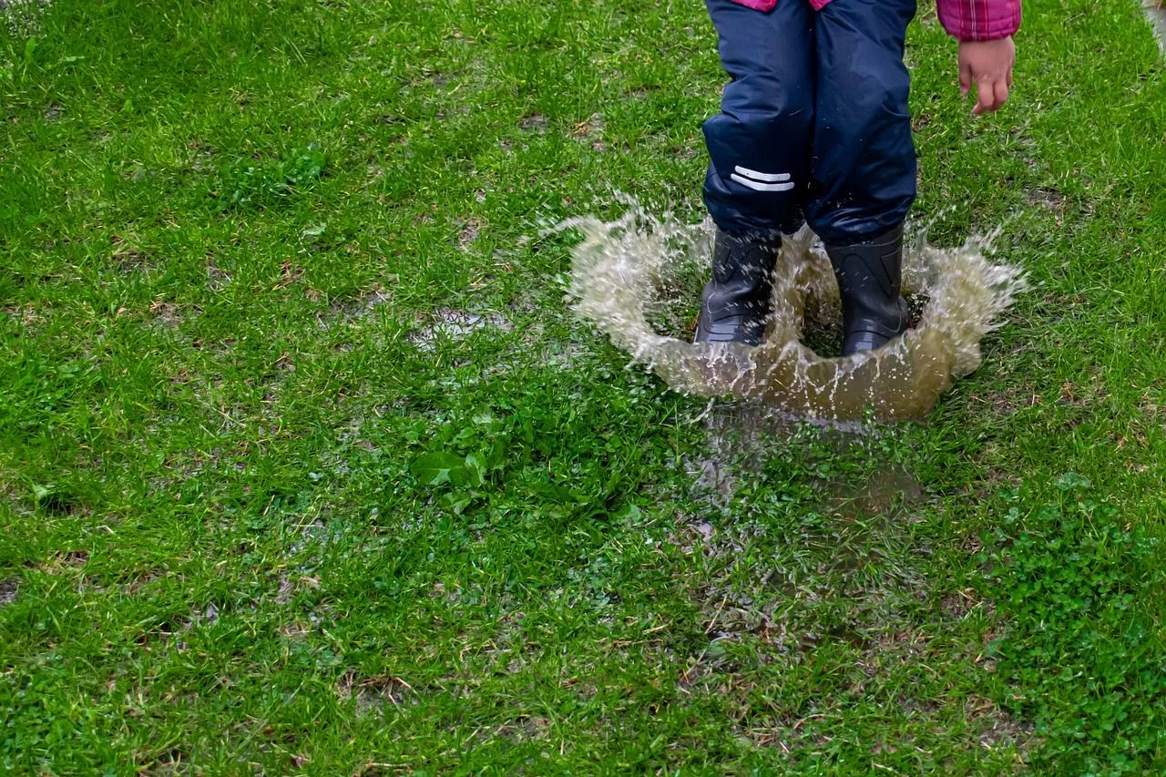 Eerste lentedagen komen eraan: Dit moet je dan doen in je tuin