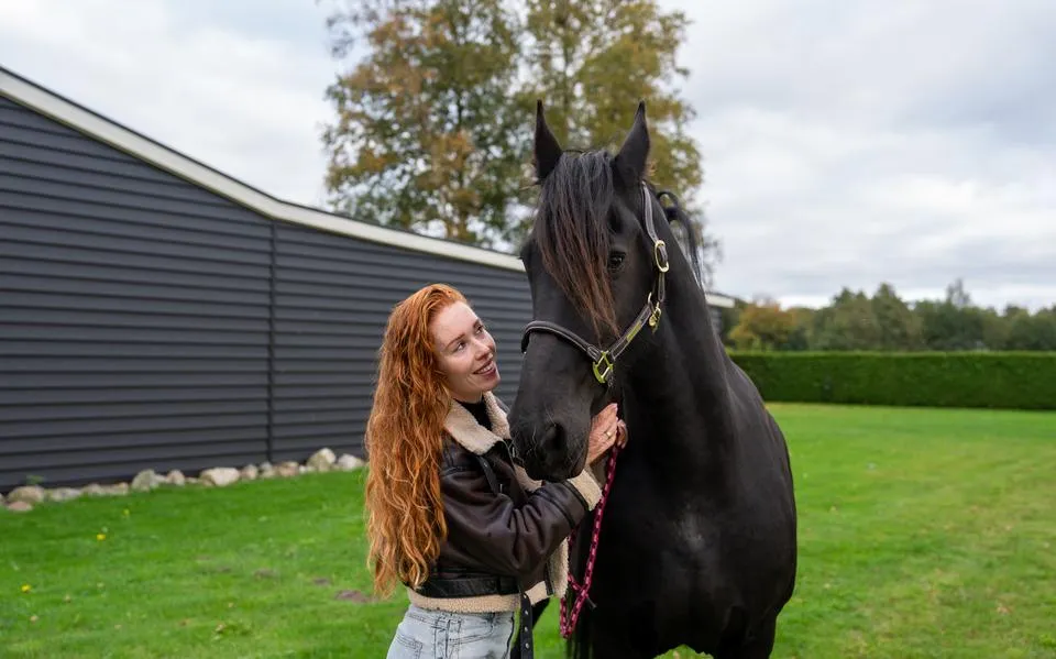 antoinette20rijpma de20jong20rottum20paarden