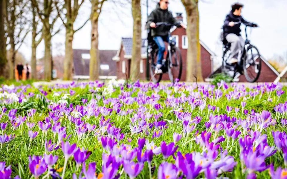 lenteweer20anp 551563767