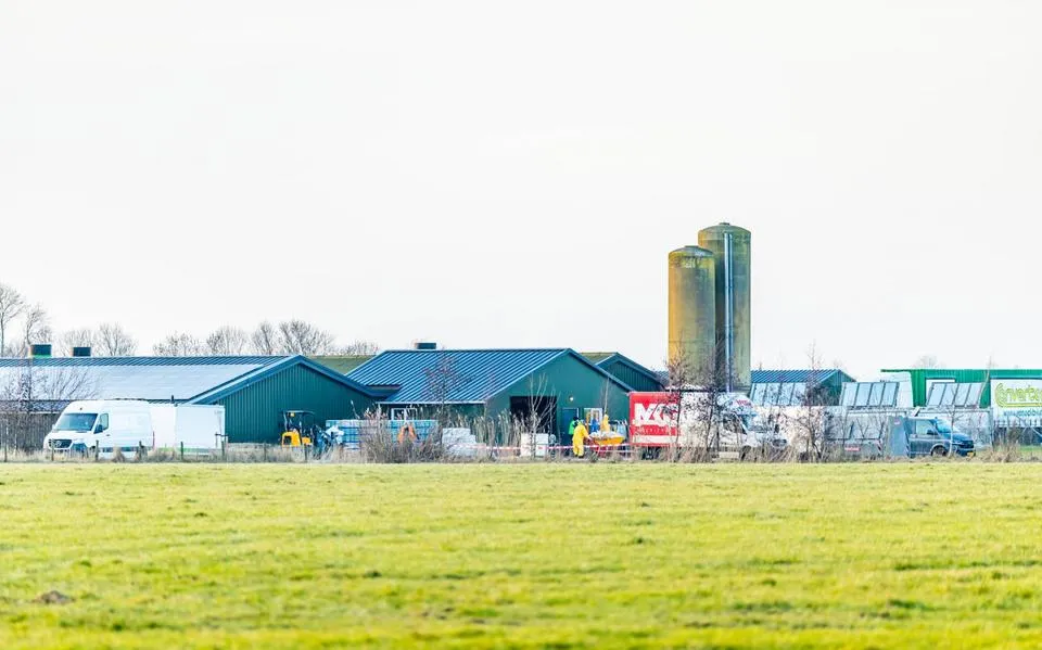 small 877dc56f 9c28 438a aee4 7e2e7edff0abjpeg