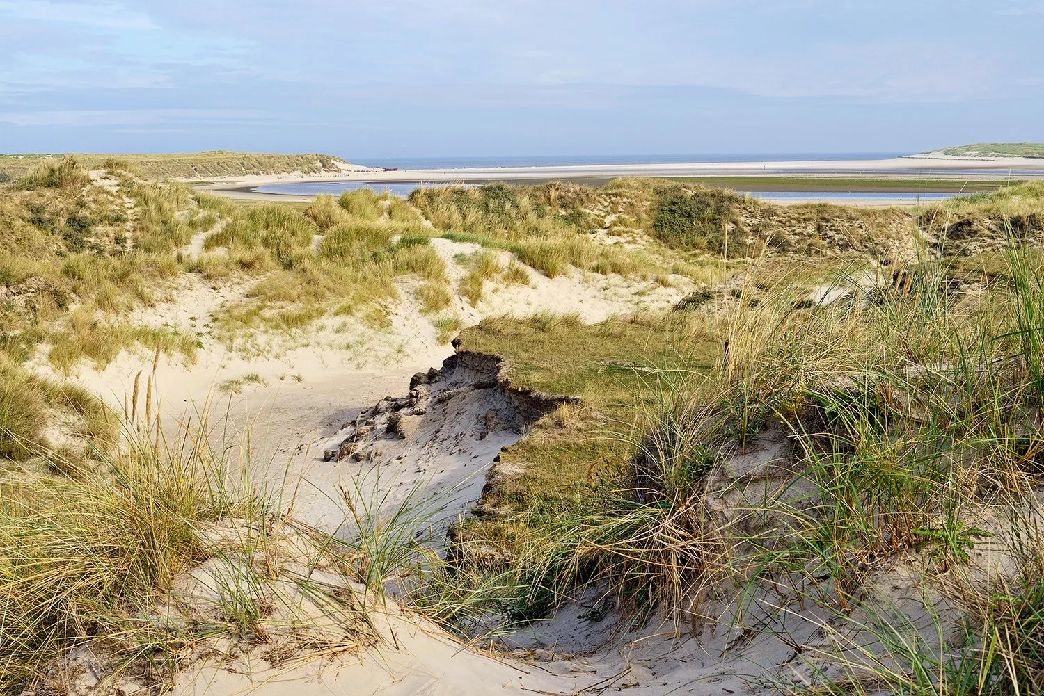 duinen door ronald van wijk 1