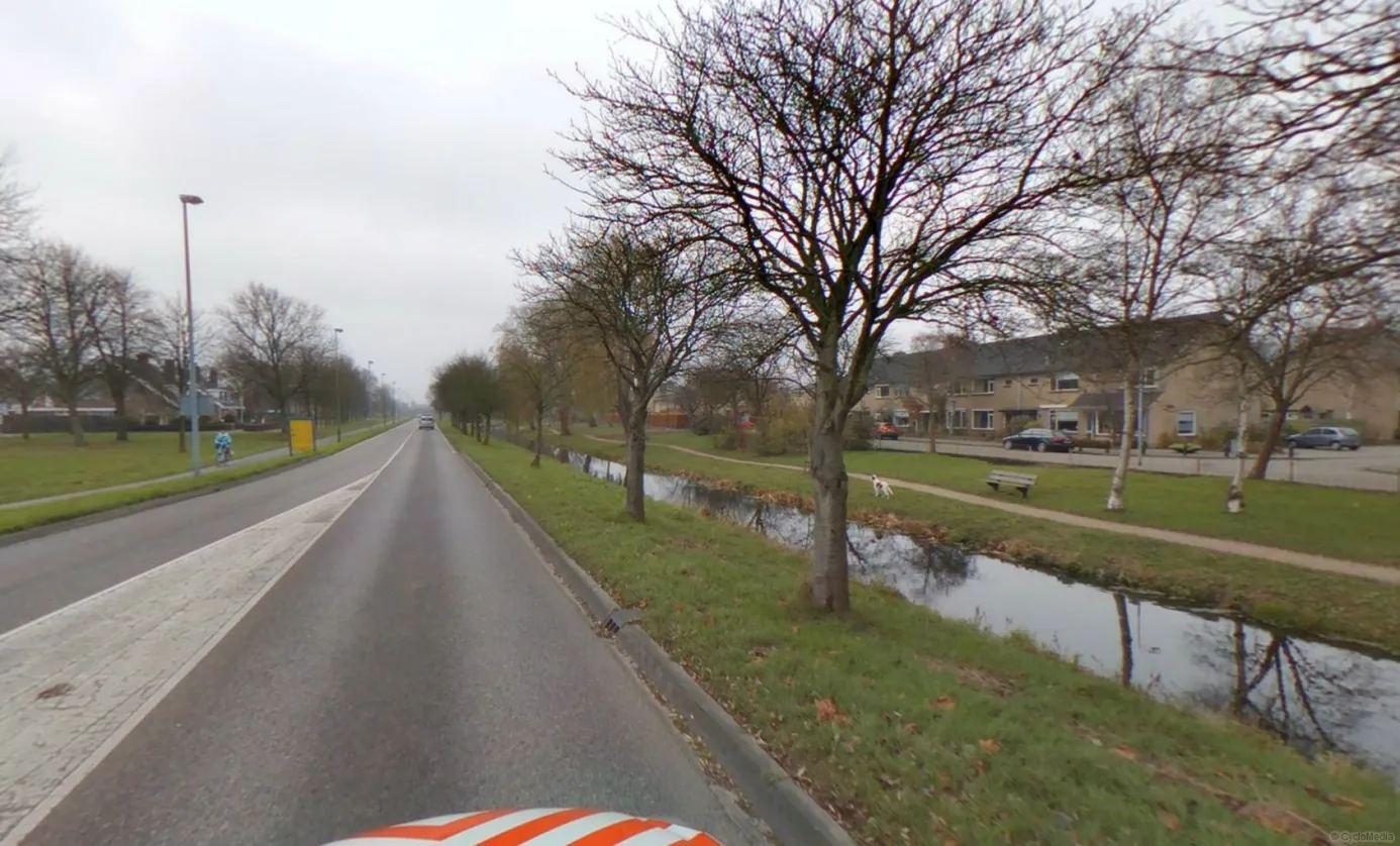 lijsterbessengeesterweg