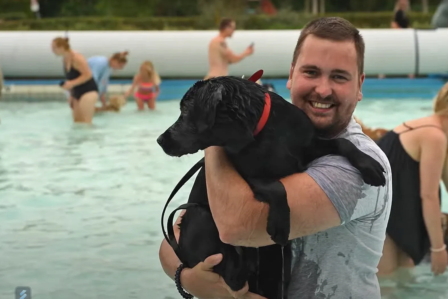 naamloos 1 honden zwemmen