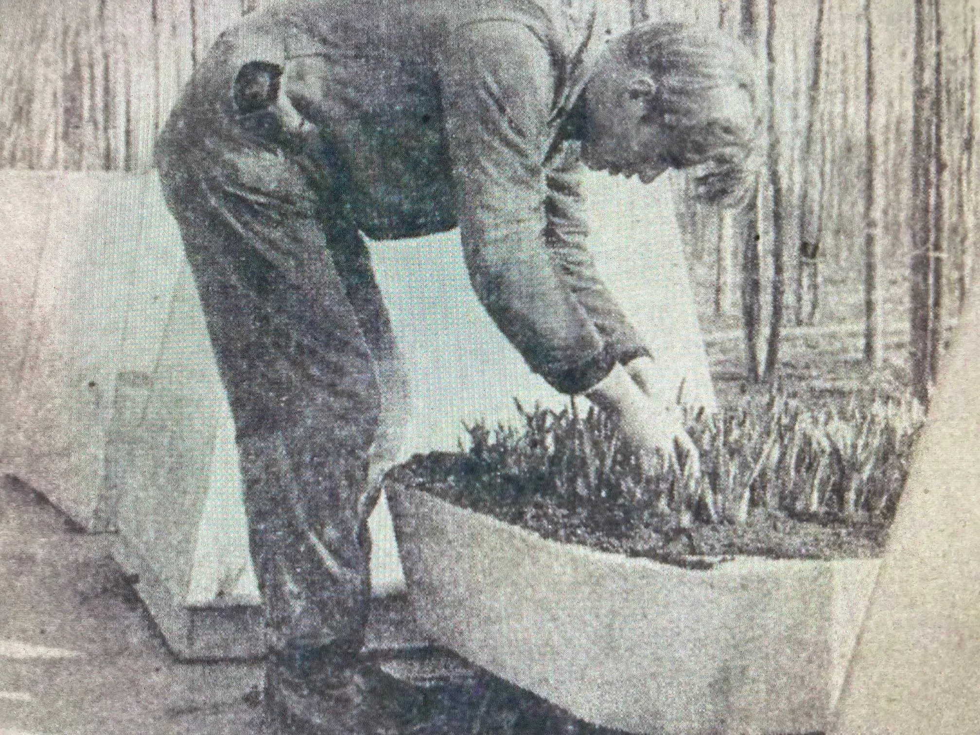 plantsoenendienst
