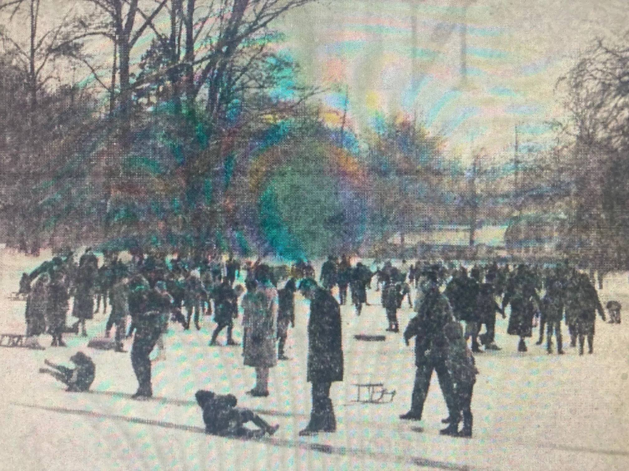 schaatsen Wilhelminapark