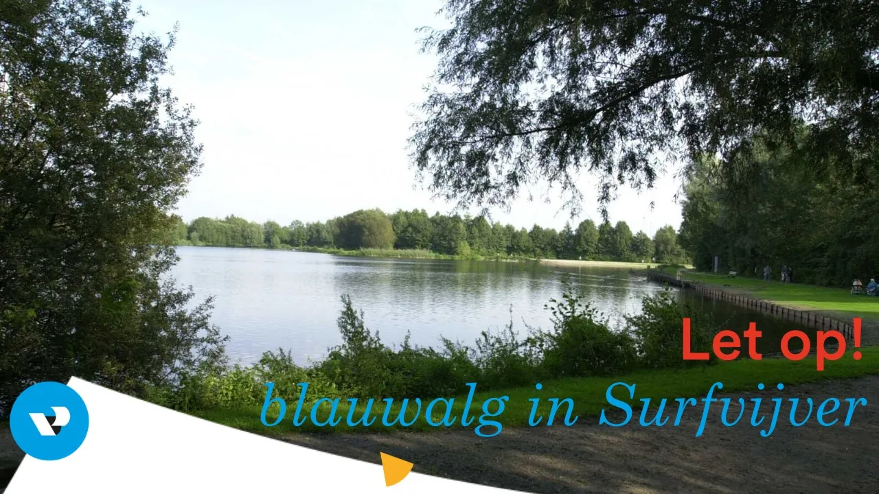 blauwalg