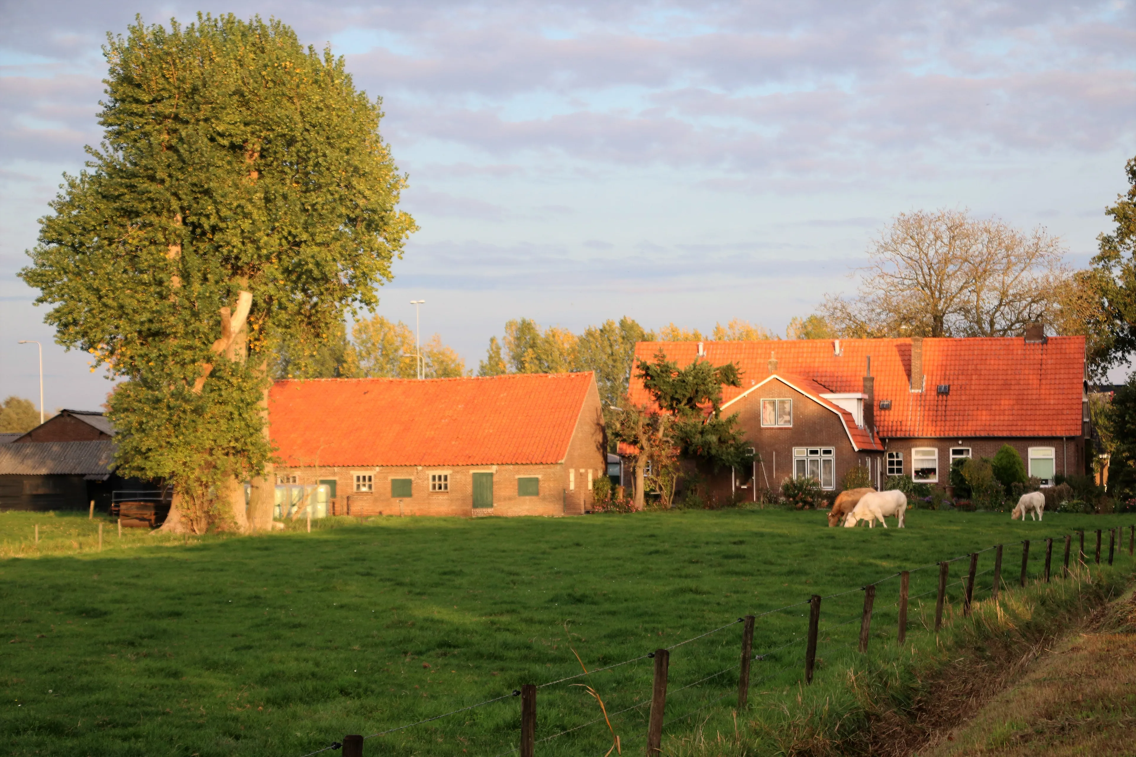platteland maanderbuurtweg 1