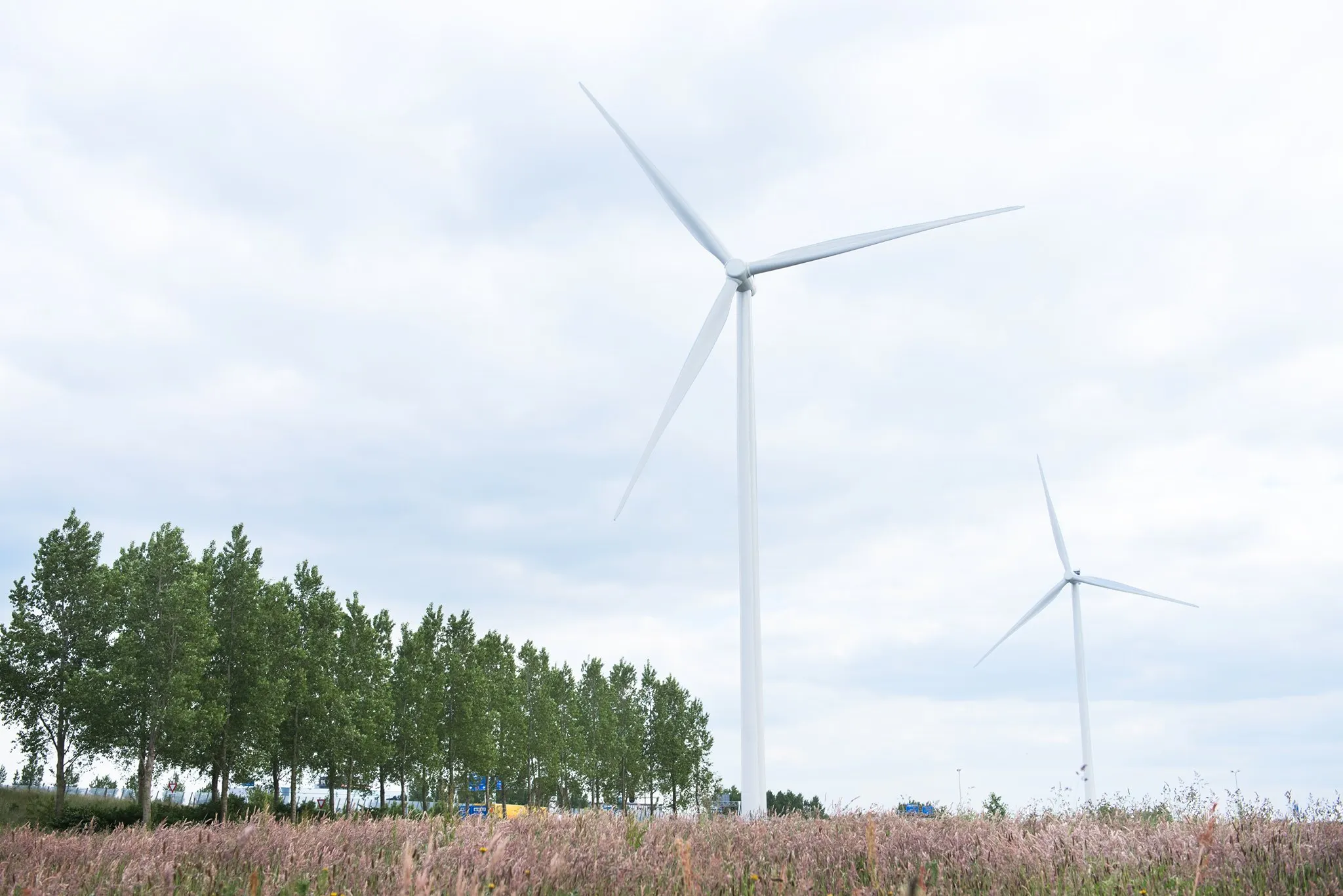 windmolensss