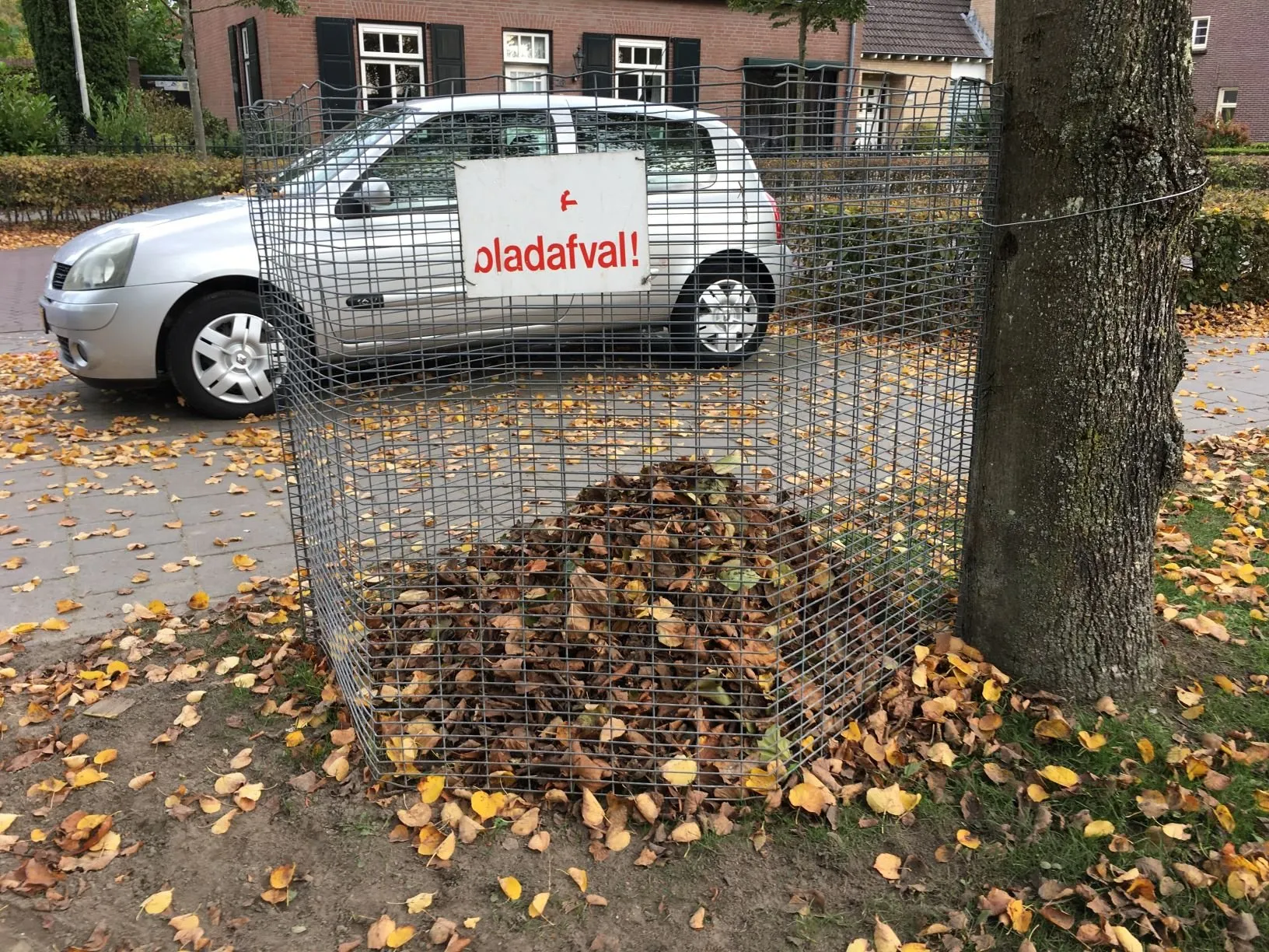 bladkorf