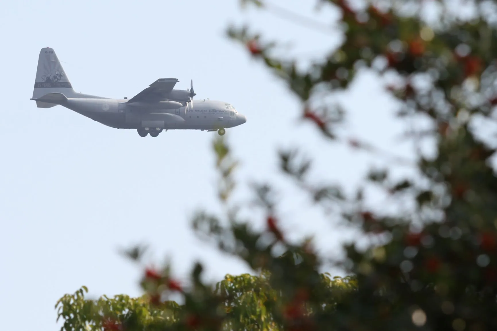 c130 hercules laagvliegend