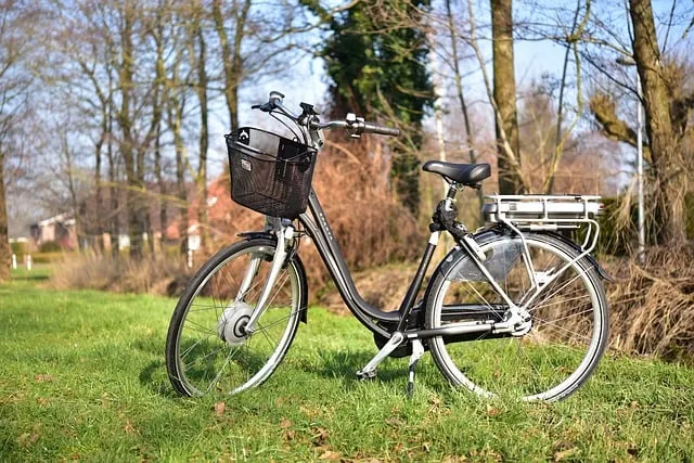 ebike sipa via pixabay