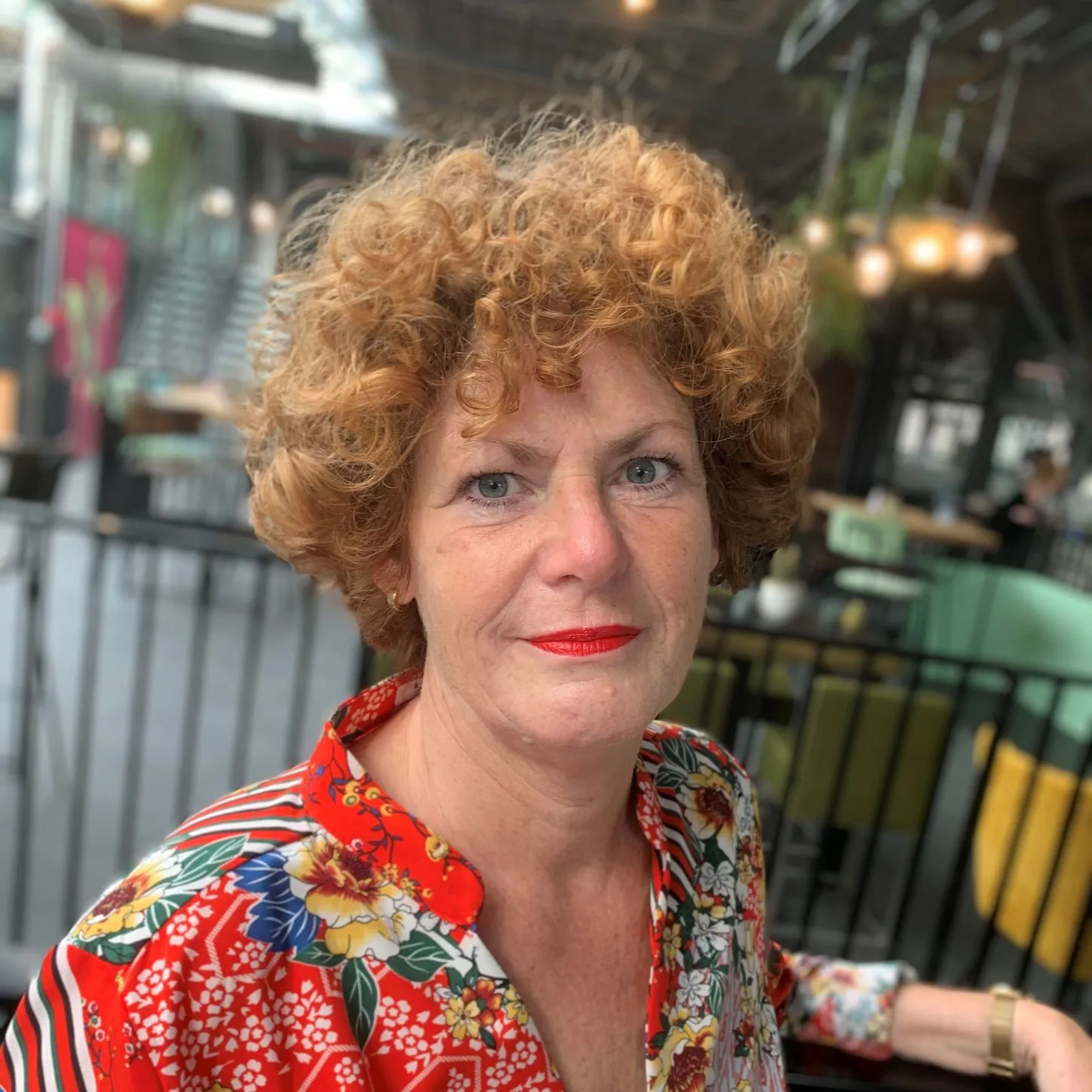 mary van loon schrifjster