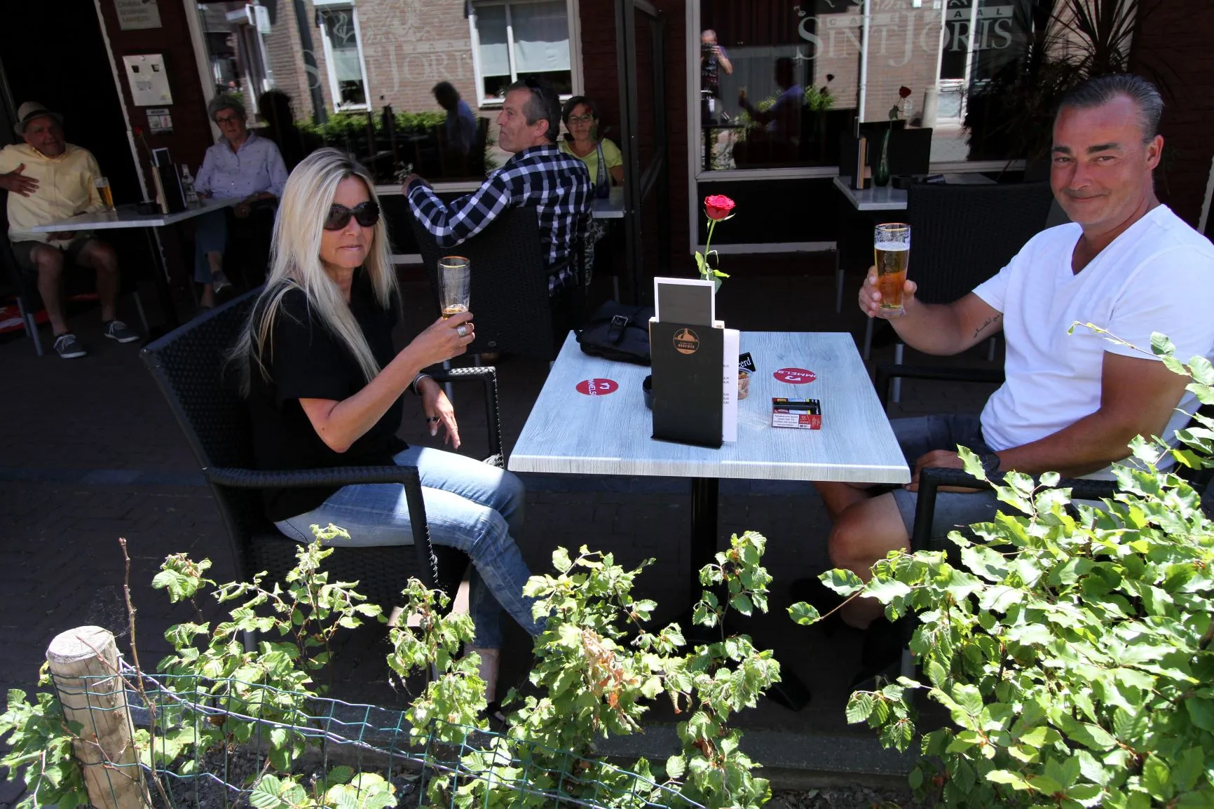 terras bier