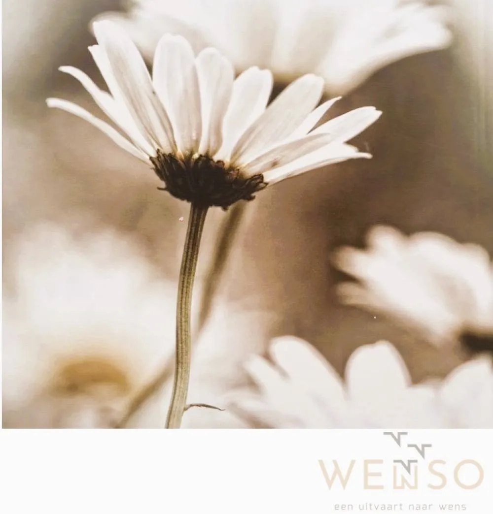 Bloem met logo Wenso