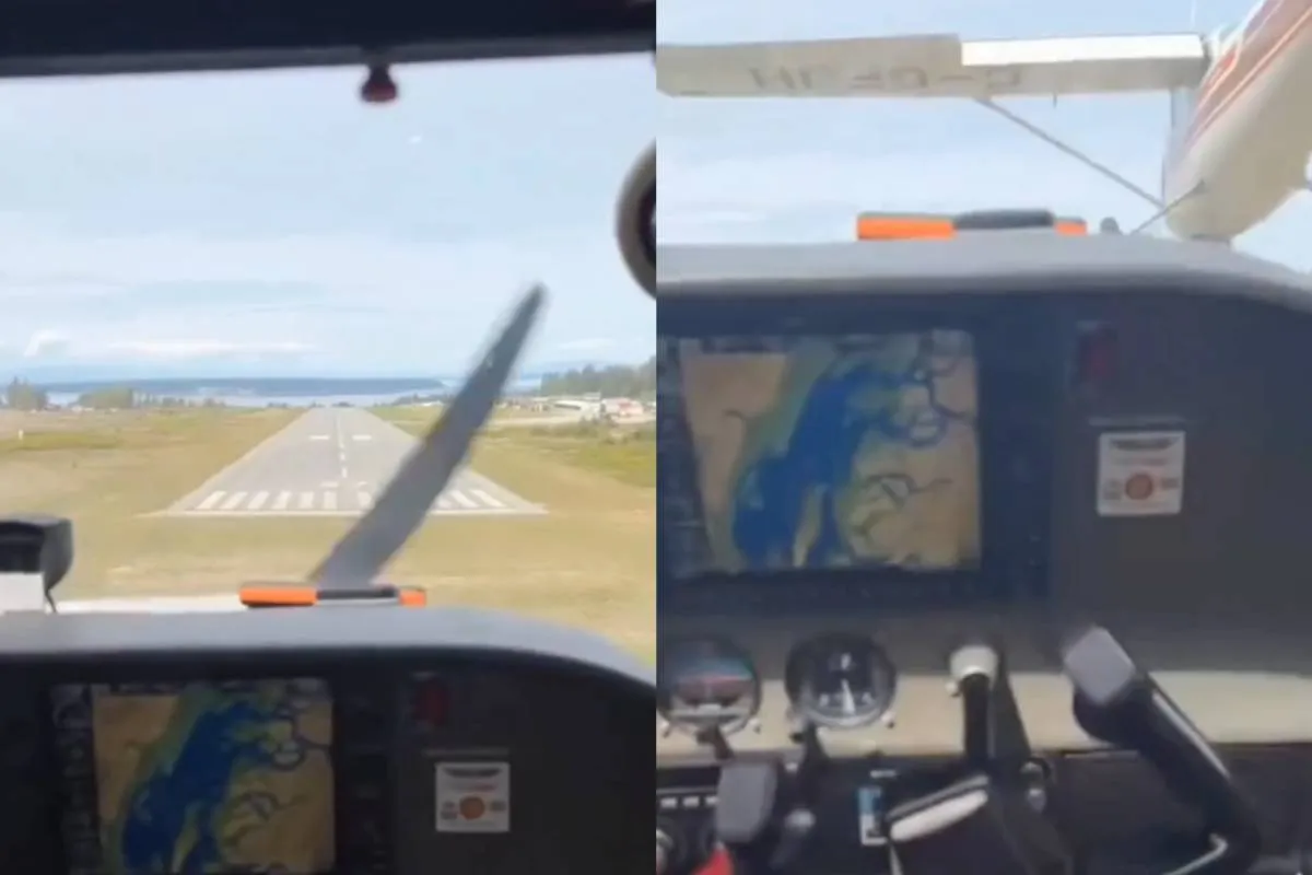 thumb wt plane