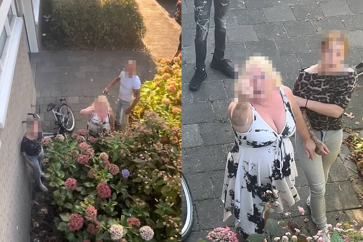 De mooiste burenruzie van Roosendaal: “Jij ken niet eens gooien, scheve natnek!”