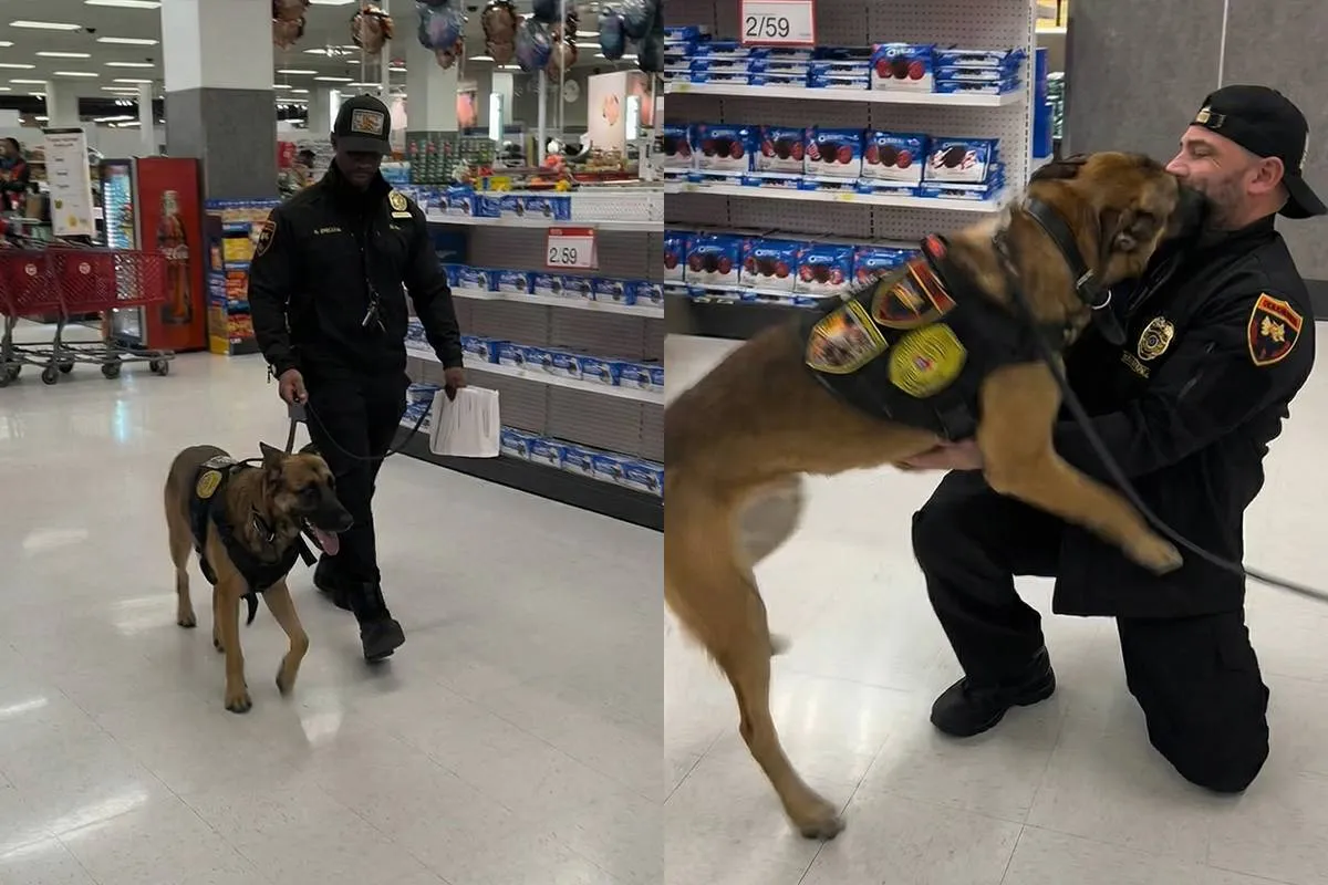 thumb_vk_K9_hond_herkent_zijn_eerste_hondenbegeleider