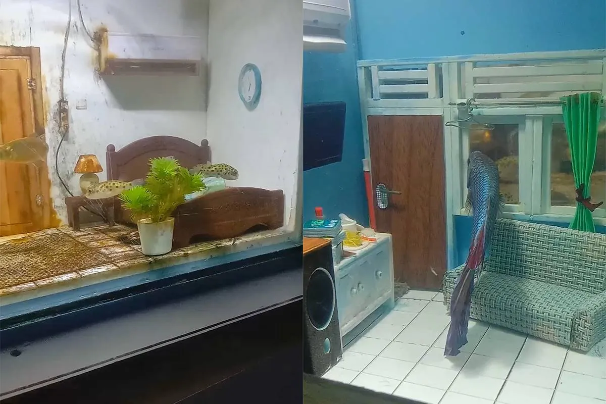 thumb_vk_Origineel_idee_voor_je_aquarium_vissen_voelen_zich_er_thuis