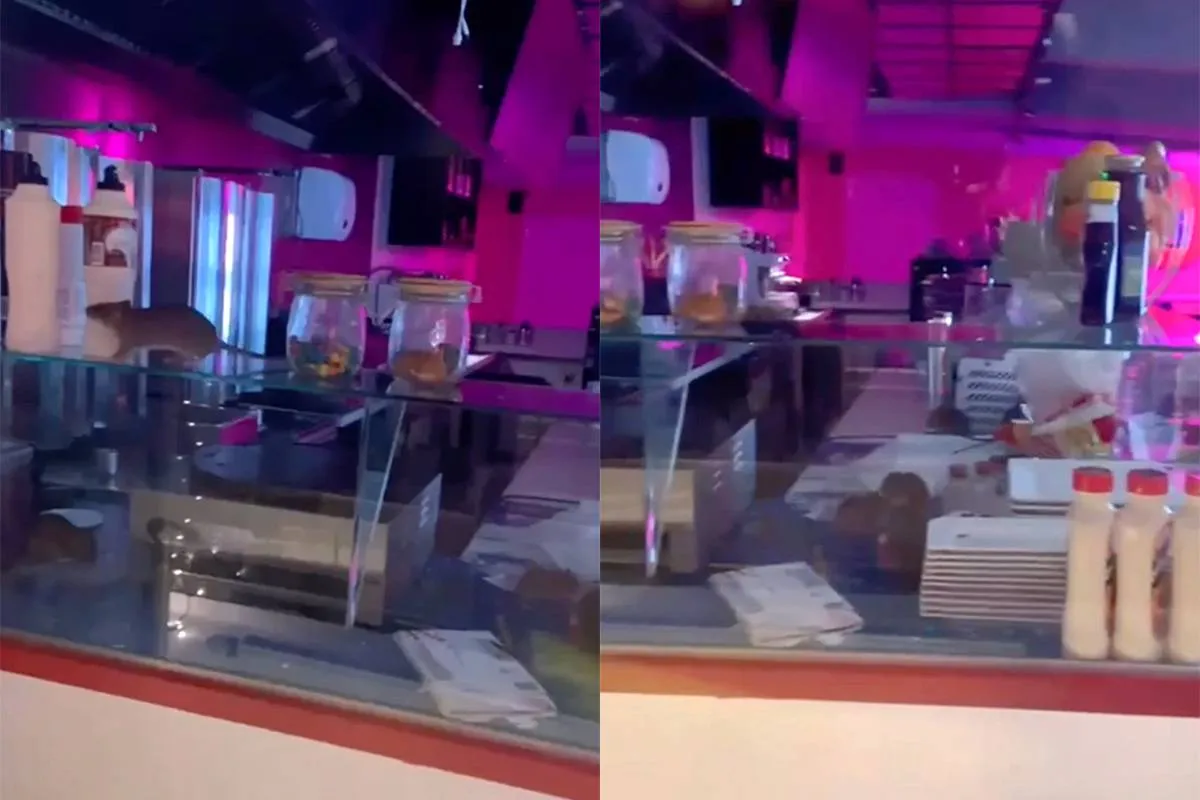 thumb_vk_En_weer_heeft_een_restaurant_in_Amsterdam_last_van_ratten