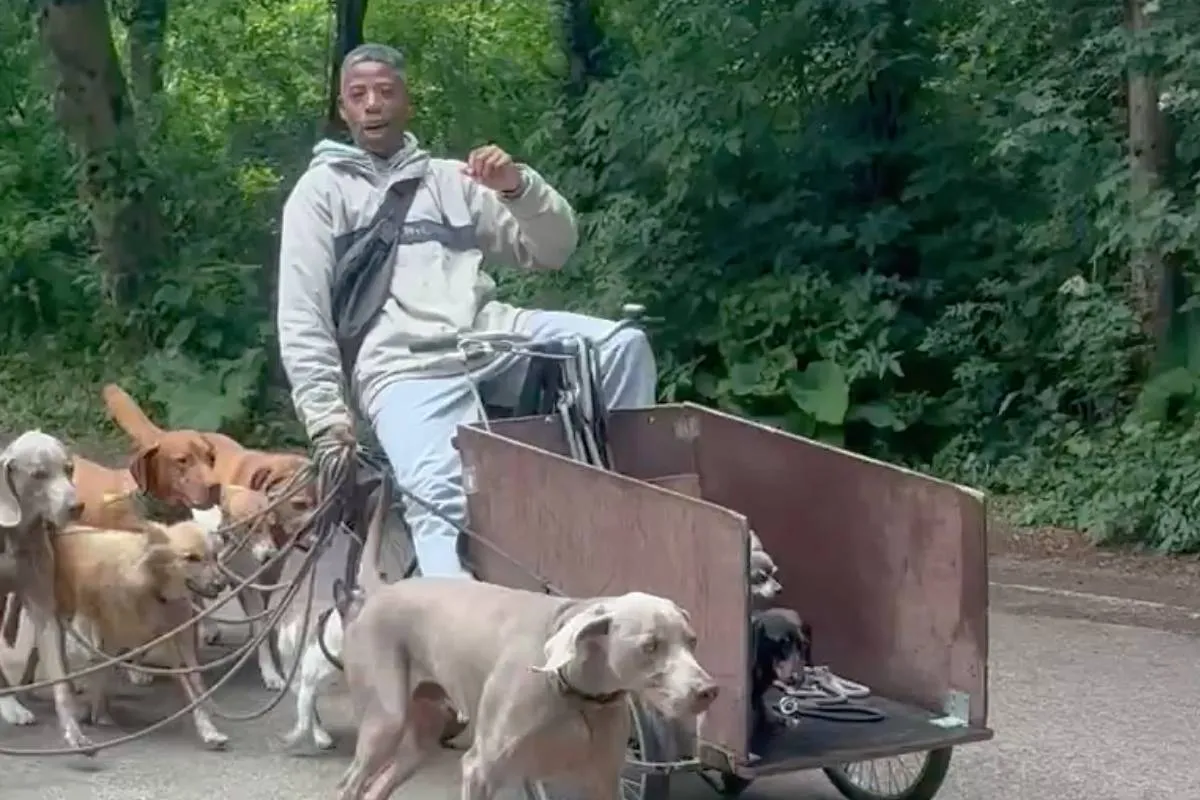 thumb_viraal_honden_uitlaten_vondelpark